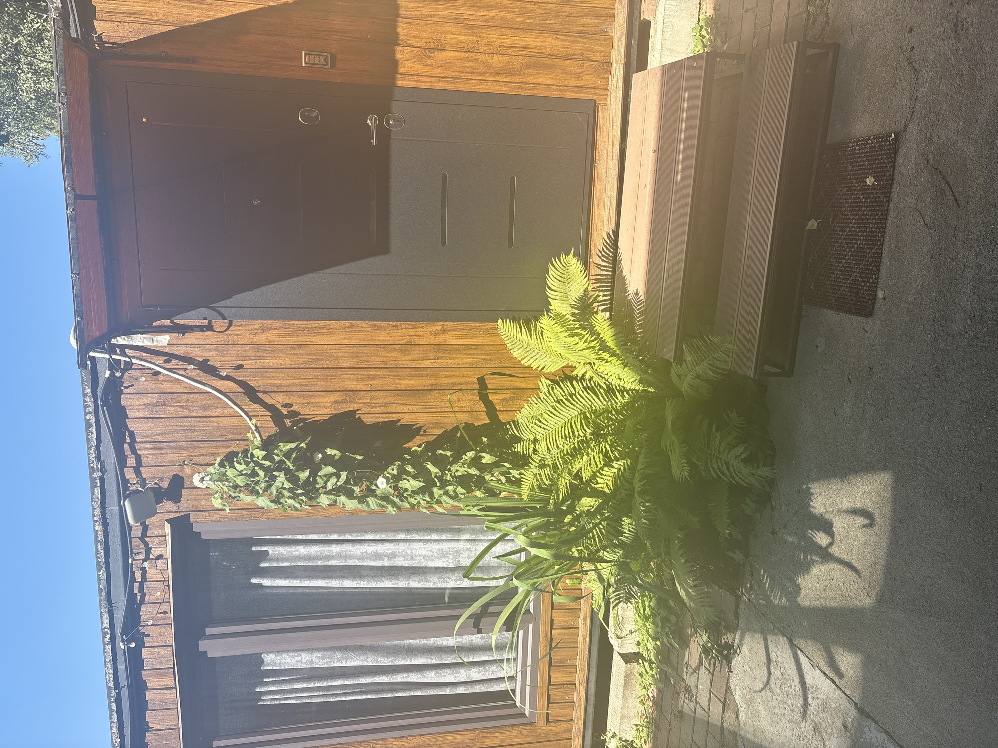 This is a photograph of the exterior of a wooden building, likely a small residential unit or shed, located in the city of Kommunarka, Russia. The building has a wood-paneled facade and a dark gray front door with a silver handle and a keyhole. To the left of the door is a window with sheer white curtains. A vine plant is growing up the side of the building, near the door. In front of the building, there are two steps made of brown decking material leading up to the door. Lush green ferns and other plants are growing at the base of the building, around the steps. A doormat with a ribbed pattern is placed at the bottom of the steps. The ground in front of the building is paved with concrete and brick. The scene is illuminated by bright sunlight, casting distinct shadows on the ground, including an intriguing shadow in the foreground that resembles a silhouette of a dog. The sky above is clear and blue.
