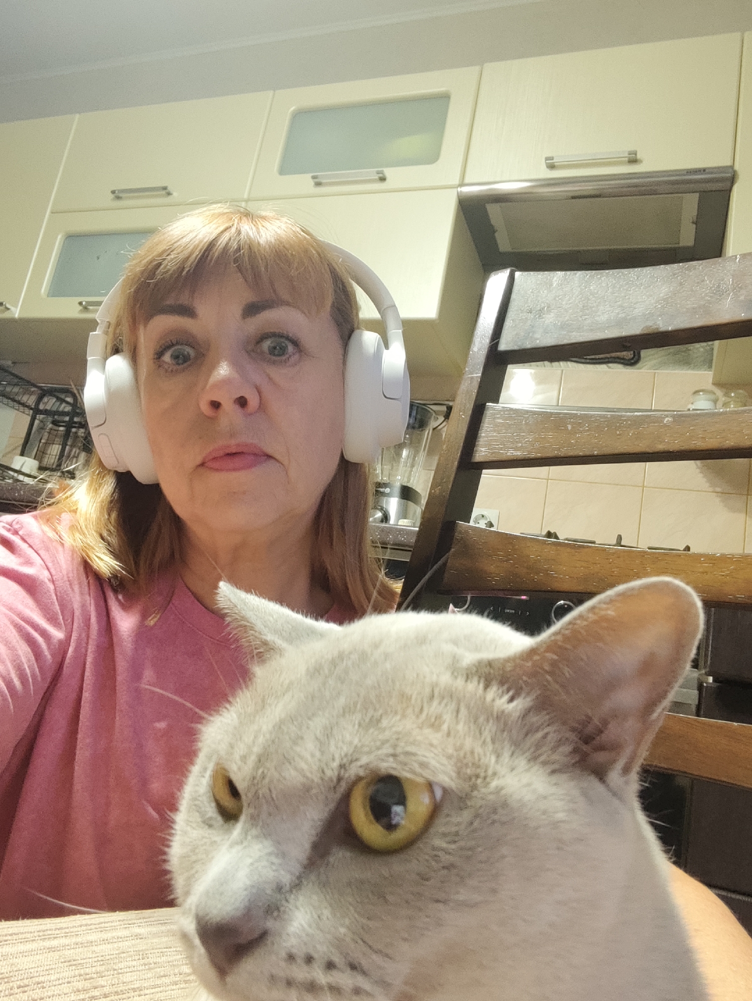A woman with blonde hair and wearing white headphones and a pink shirt is taking a selfie. A light gray cat with yellow eyes is in the foreground, partially obscuring the woman's face and chest. The background appears to be a kitchen with cream-colored cabinets and a wooden chair. The image was taken in Gvardeysk, Russia.