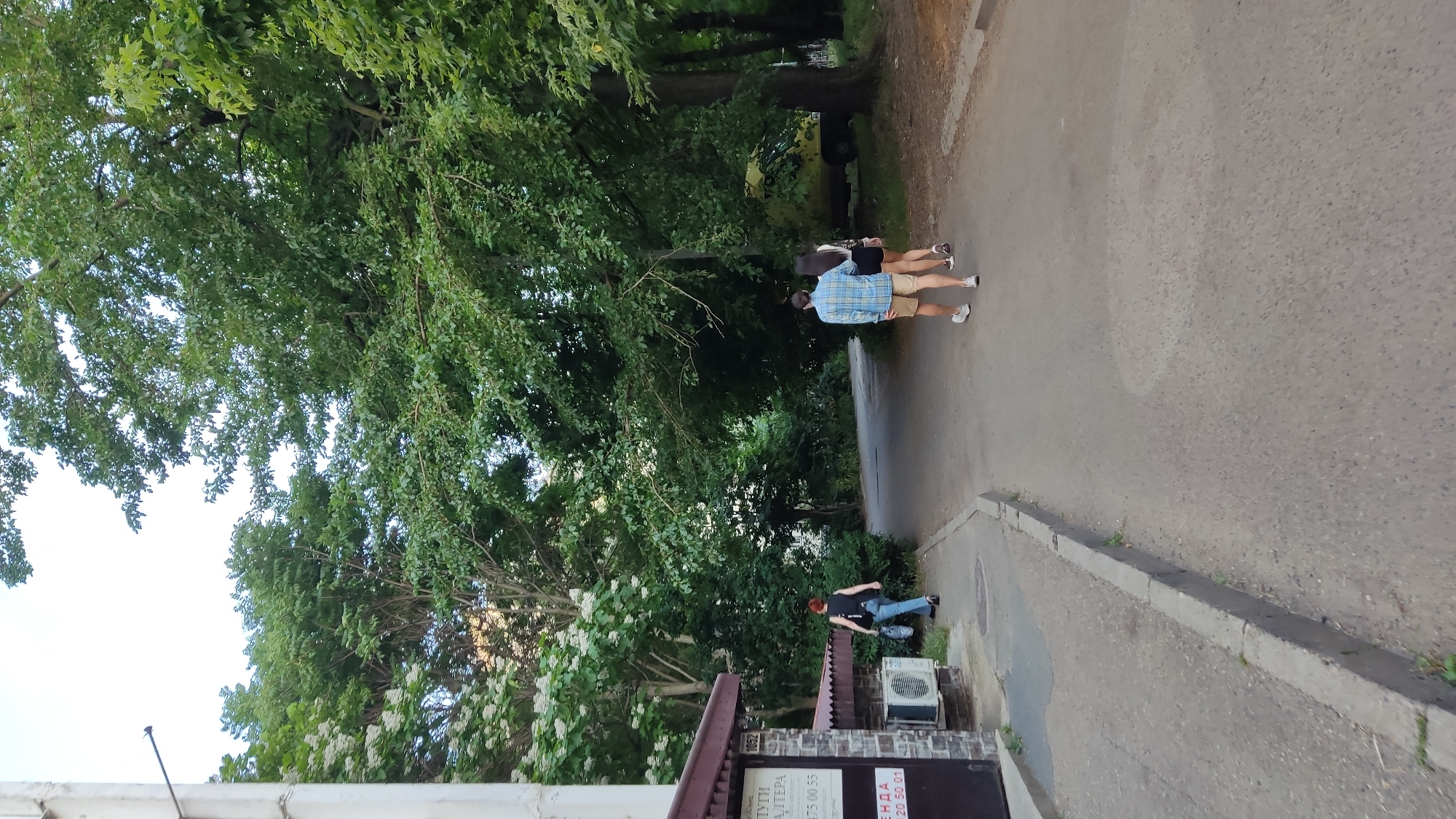 The image depicts an outdoor scene with lush green trees and a paved walkway. Two individuals are walking on the walkway, seen from behind. One person is wearing a blue and white plaid shirt and beige shorts, while the other is wearing a dark top and shorts. Further down the walkway, another person is seen sitting on the ground, wearing a black t-shirt and blue jeans. In the foreground, a building with an air conditioning unit is visible, along with some white flowering bushes. The scene appears to be set during the daytime, under fair weather conditions, possibly in a park or a residential area given the presence of trees and a building. The overall impression is one of casual strolling or resting outdoors. Some text is visible on a sign on the building, but it is not clearly legible. The location is identified as Krasnodar, Russia.