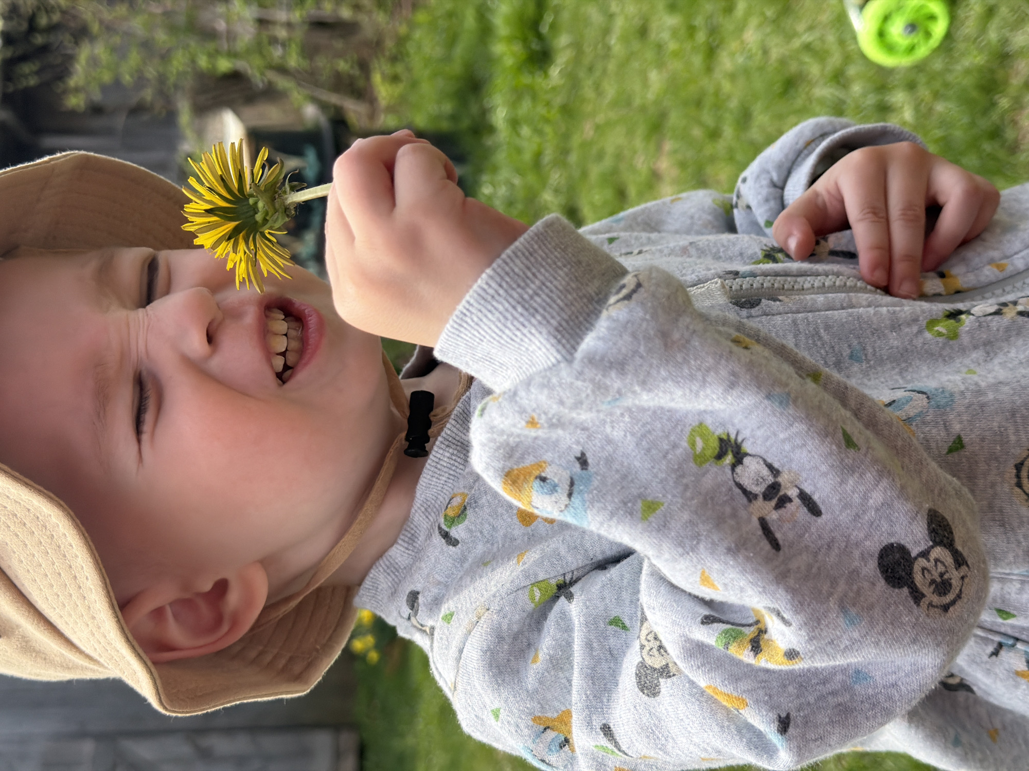 A young child, wearing a beige bucket hat and a gray zip-up sweatshirt adorned with cartoon characters, is holding a yellow dandelion flower close to their face. The child's face is contorted in a squint with eyes closed and teeth bared. The background shows green grass, suggesting an outdoor environment, possibly in the city of Уральское, Russia.