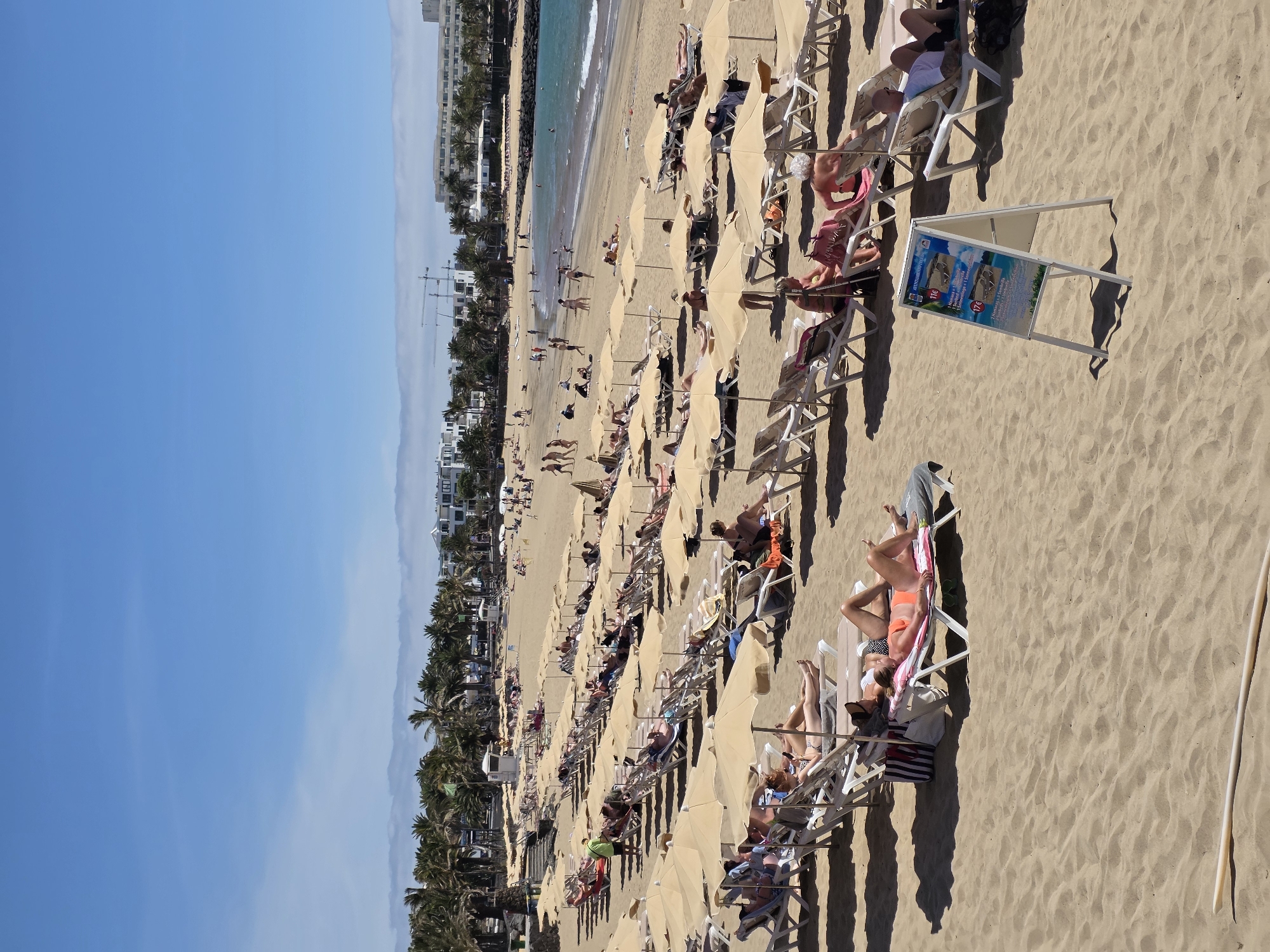 The image depicts a crowded beach in Costa Teguise, Spain, on a sunny day with a clear blue sky. Numerous beach chairs and umbrellas are set up on the golden sand, occupied by people sunbathing and relaxing. In the background, palm trees line the promenade, and white buildings, likely hotels or apartments, are visible. The ocean is a vibrant turquoise, with gentle waves reaching the shore. Several individuals are seen walking along the beach or in the water. A white A-frame sign displaying rental prices for beach furniture is positioned in the foreground. The scene conveys a lively and typical beach resort atmosphere.