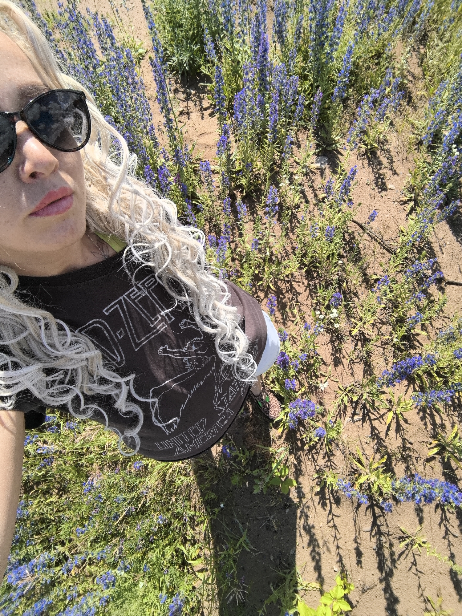 A woman with platinum blonde, curly hair and sunglasses stands in a field of purple flowers. She is wearing a dark t-shirt with a white graphic print, and her arms are bare. The field is dry and sandy with patches of green grass and shadows cast by the sun. The background is a blur of more purple flowers and dry ground. The image does not contain information about the city of Noviy, Russia.