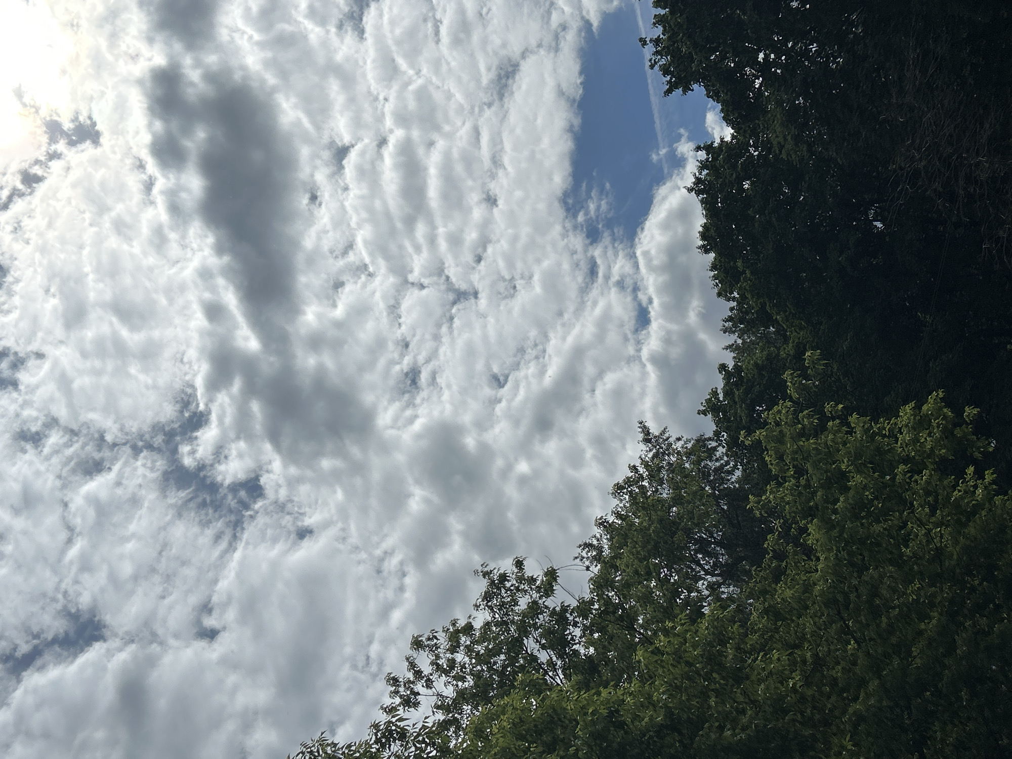 The image captures a view of the sky with clouds and tree foliage. The sky is mostly covered with white and gray clouds, with a small patch of blue sky visible. The clouds appear to be layered and textured. The trees are located in the bottom and right side of the image, with varying shades of green. The trees are lush, suggesting that it is daytime. The image is taken from a low angle, pointing upwards. Location is unknown.