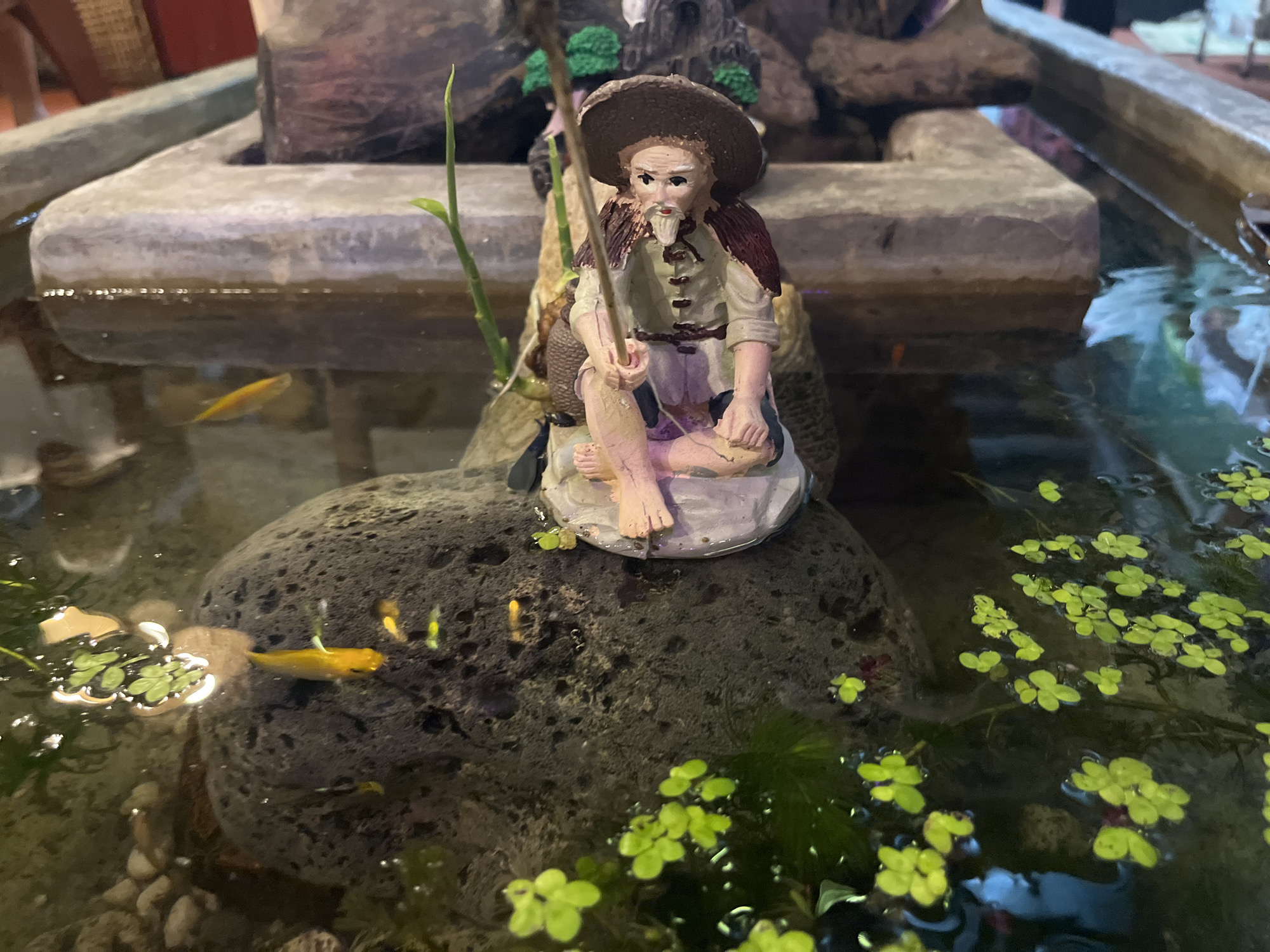 The image depicts a miniature fishing scene within an aquarium or water feature. A small, ceramic figurine of an elderly fisherman, wearing a wide-brimmed hat and traditional clothing, is seated on a rock. He holds a fishing rod, with a line extending into the water. The figurine is positioned on a large, dark, textured rock that is partially submerged in the water.
Around the rock and in the surrounding water, several small, brightly colored fish, likely goldfish or guppies, are swimming. Some of these fish are yellow, while others appear to be a pale yellow or green. The water is clear and reflects light, with a few floating green plants, resembling duckweed, scattered across the surface. In the background, there are stone-like structures, possibly part of the aquarium's decoration or surrounding architecture. The overall setting suggests a decorative water feature, perhaps in a garden, restaurant, or public space.
There is no discernible location within the city of Bac Nha Trang Ward, Vietnam, specified in the image.