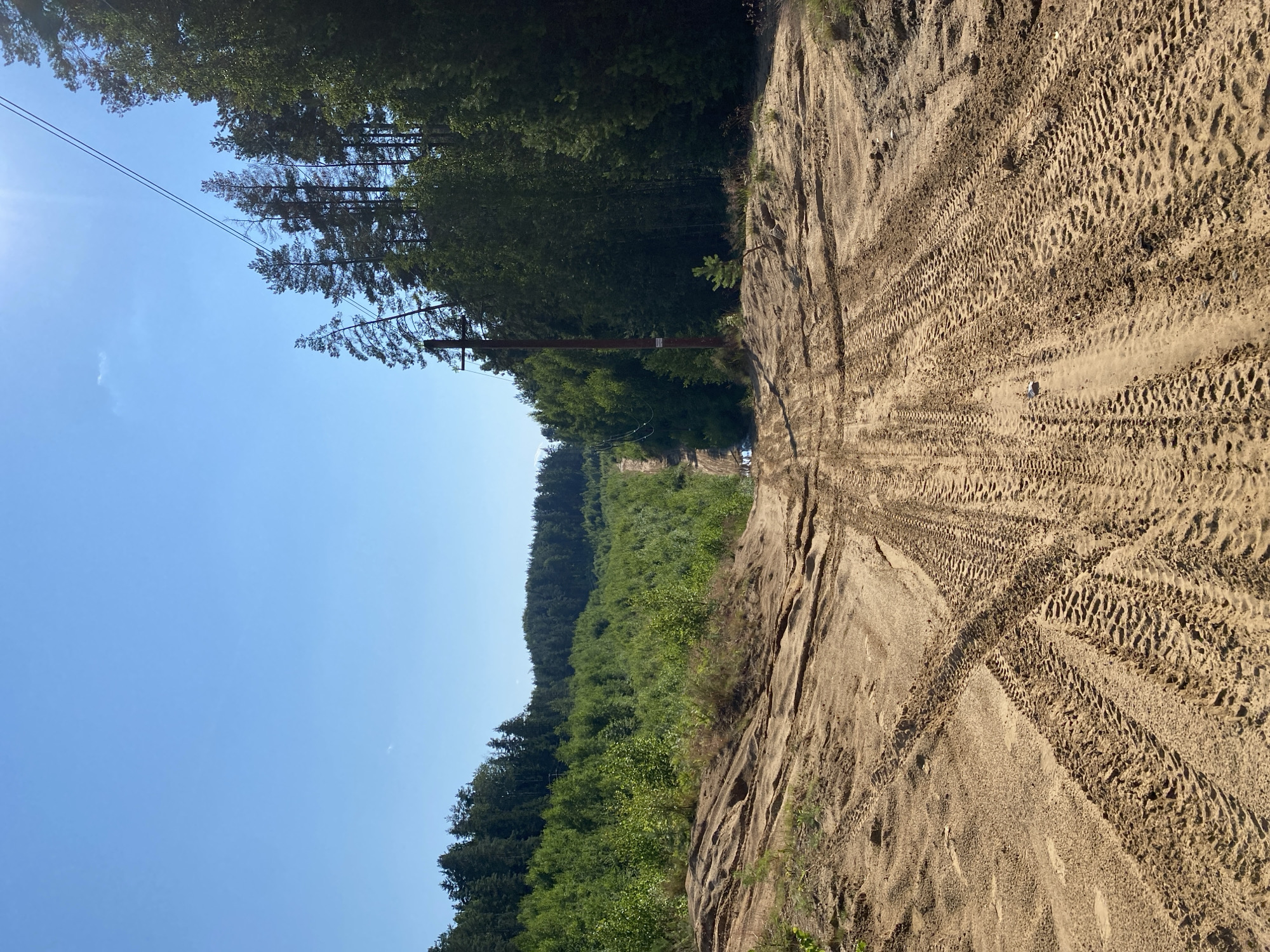 The image depicts a sandy, unpaved road winding through a wooded area. The road has deep tire tracks, indicating recent vehicle activity. On the right side of the road, a wooden utility pole with some wires runs parallel to the path. The surrounding environment consists of dense green foliage, predominantly trees, with a clear blue sky above. The terrain appears to be slightly hilly, with the road ascending into the distance. The scene is likely a rural or remote location, potentially within the city of Voeikovo, Russia, given the provided context. No people are visible in the image.