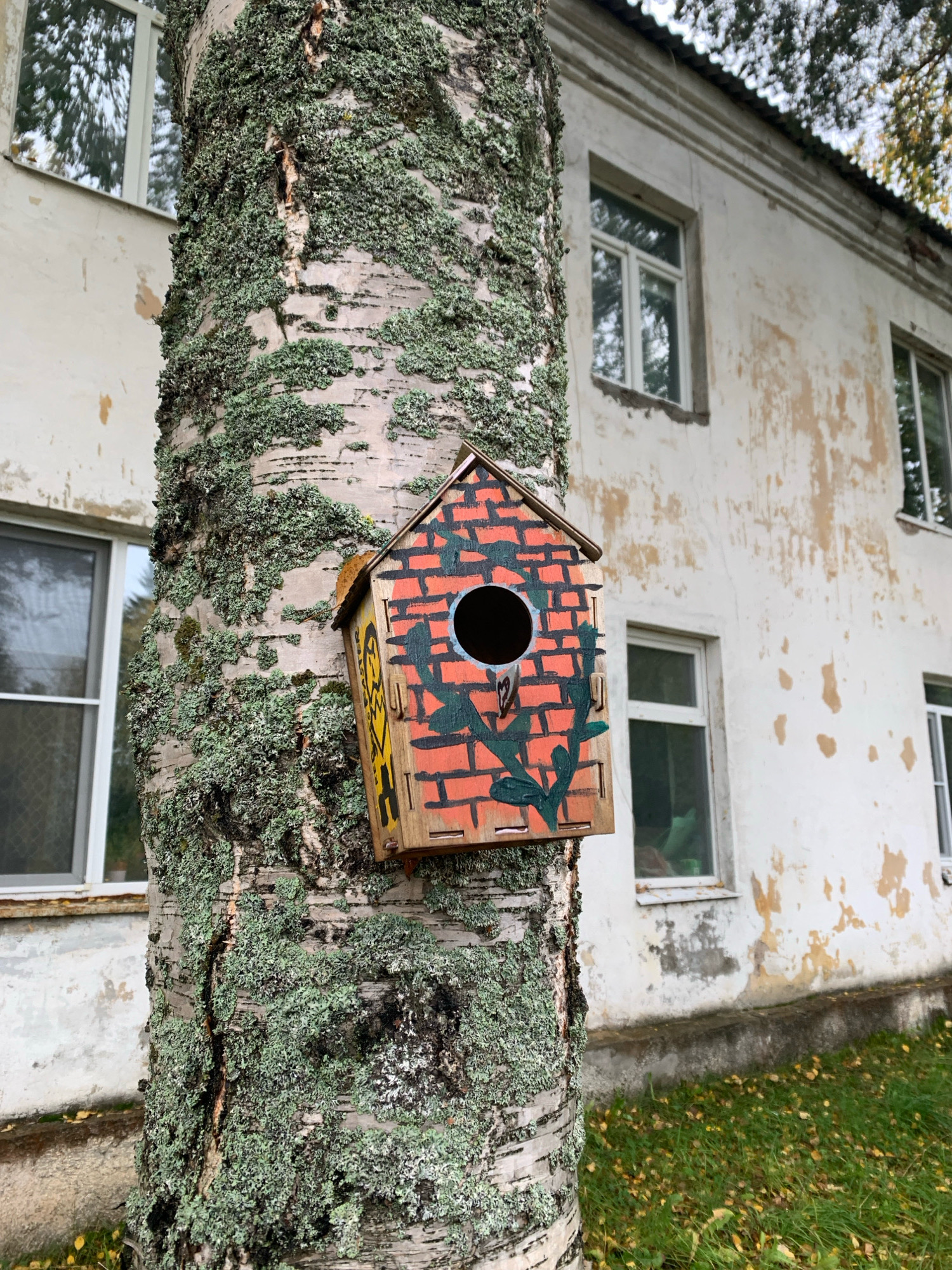 In Katunino, Russia, a birdhouse is affixed to a birch tree in front of a weathered, light-colored building. The tree is covered in patchy green lichen, and a visible crack runs vertically down its trunk. The birdhouse itself is small and wooden, decorated with a painted brick pattern in orange and black, along with green leafy designs. A circular opening is visible in the front of the birdhouse. The building behind the tree appears to be multi-story, with several windows that are reflecting the surroundings. The paint on the building is peeling in places, revealing patches of lighter material underneath. The ground in front of the building is covered in green grass with fallen yellow leaves scattered across it. The sky is overcast, contributing to a muted lighting in the scene.