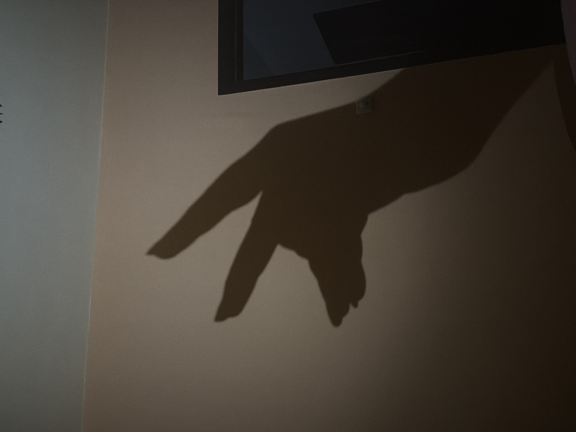 The image displays a prominent, dark shadow of a human hand cast onto a light-colored wall. The hand forms a gesture with its index and middle fingers extended upwards, while the thumb, ring finger, and pinky finger are curled or not visible, resembling a "peace sign" or "V for victory." This large shadow occupies the central and right areas of the frame.
In the upper right corner, a dark, rectangular object, possibly a television or a framed item, is partially visible, also casting a soft shadow on the wall beneath it. The wall itself shows a subtle vertical division, suggesting a corner or a change in surface material, separating lighter greyish-white on the left from a warmer beige tone on the right. The lighting conditions create sharp, clear shadows, indicating an indoor environment, likely a room that is dimly lit or illuminated by a single light source, suggesting it could be evening or night. No specific activity beyond the casting of the shadow is depicted. The scene is set indoors in Plovdiv, Bulgaria. There is no visible text in the image.