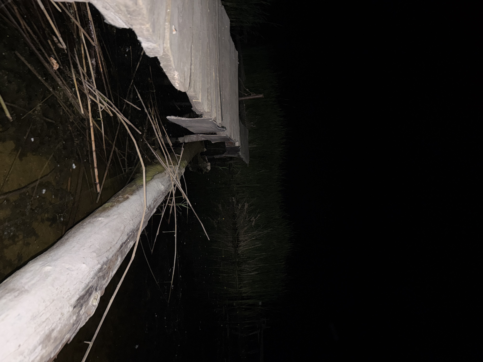 A wooden pier extends from the left of the frame into dark water. The pier is weathered and appears damaged, with missing planks and sections hanging loosely. A large, light-colored log rests in the water next to the pier, partially submerged. The water is murky and filled with reeds and debris. Tall reeds and vegetation line the far bank of the water, obscured by darkness. The sky above is completely black, indicating nighttime. The scene is set in an outdoor, natural environment.