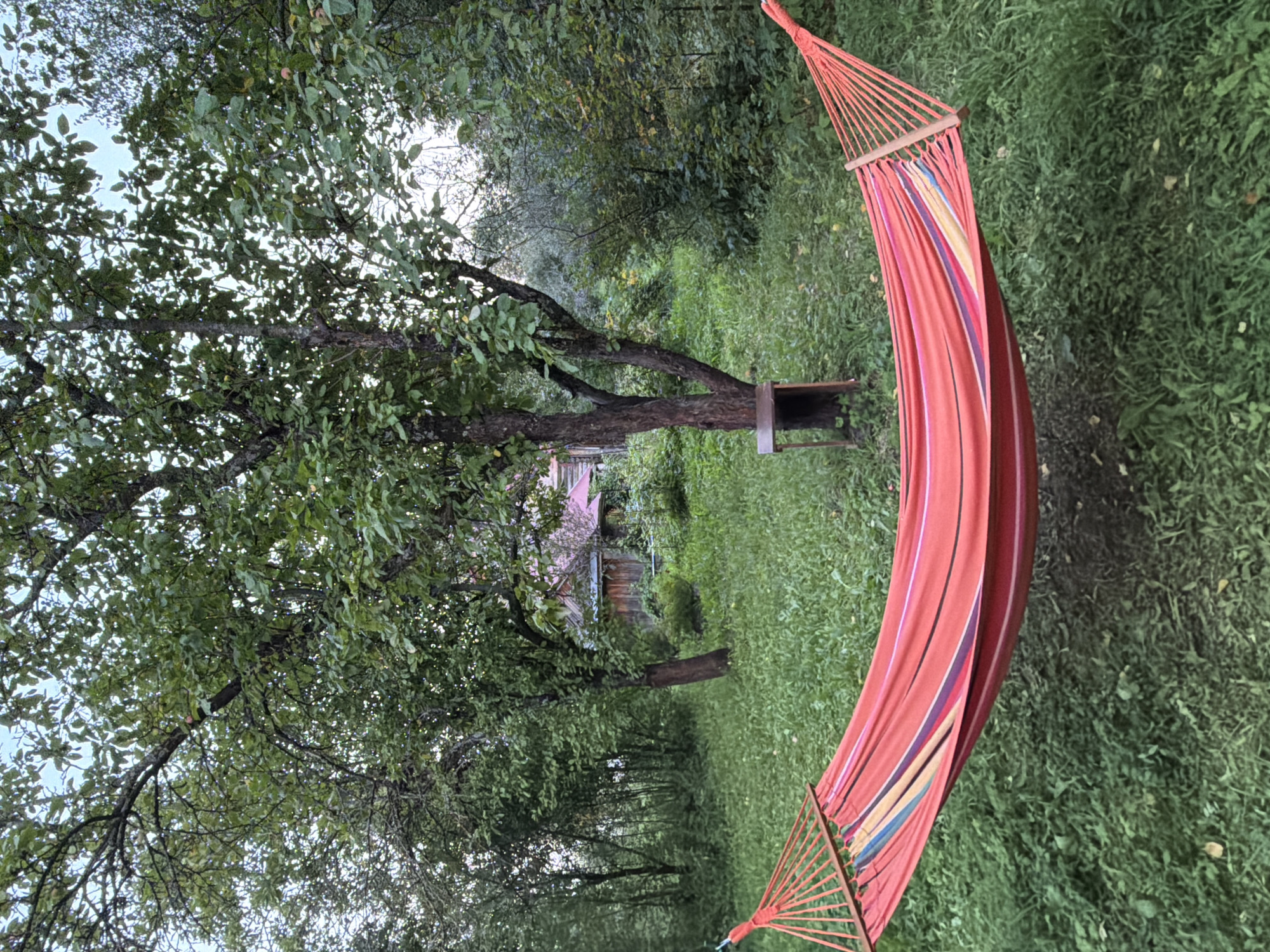 The image shows a red hammock strung between trees in a grassy yard. In the background, a wooden building with a red roof is visible amongst dense foliage. A small wooden shelf is attached to one of the trees. The scene appears to be set in Lubyantsy, Russia, suggesting a rural or suburban residential setting.