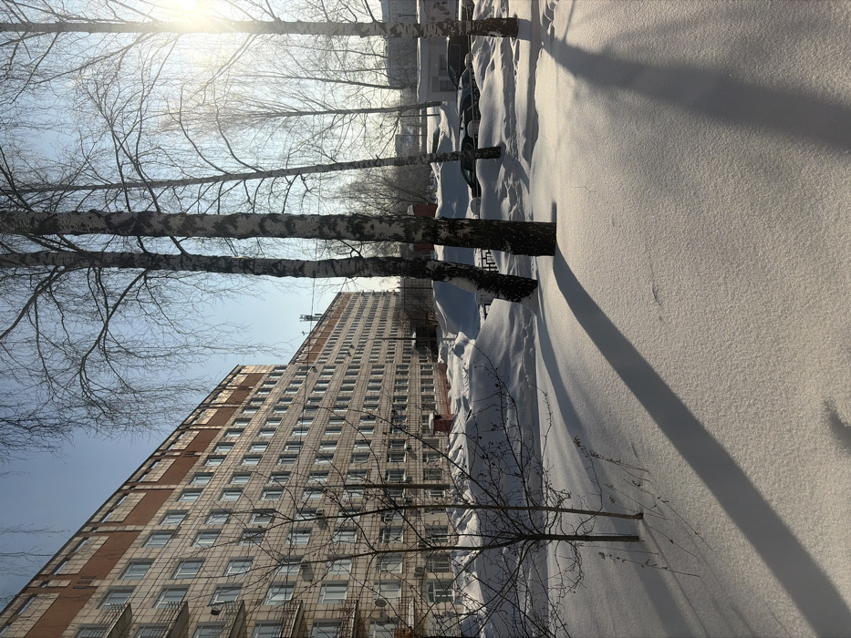 This image captures a serene winter scene on a bright, sunny day, likely in an urban or suburban residential area. The perspective is tilted, but when viewed correctly (rotated 90 degrees clockwise), it shows a row of bare trees, deep snow, and a large apartment building under a clear sky.
The upper portion of the corrected image features a clear, light blue sky with a prominent, bright sun visible in the top right, creating a distinct lens flare effect. Several tall, slender trees, identifiable as birches by their distinctive white bark with dark markings, stand without leaves, their intricate branches reaching upwards against the sky.
The ground is heavily covered in pristine white snow, forming deep drifts, particularly in the midground where it appears undisturbed. Long, sharp shadows from the trees and a large building stretch across the snow, indicating a low sun angle, characteristic of morning or late afternoon in winter. These shadows are a dominant visual element, creating strong diagonal lines across the frame.
In the middle ground, partially buried under the snowdrifts, are what appear to be parked cars, suggesting a parking lot or street. Some smaller, bare bushes or young trees are also visible peeking through the snow near the building.
Dominating the background on the left side is a tall, multi-story building, likely a residential apartment block. Its facade is a light, perhaps beige or grey, color, punctuated by numerous rectangular windows arranged in a grid pattern. There are also vertical reddish-brown panel accents running up the sides of the building. The architecture appears functional and robust.
The overall impression is one of a cold, clear, and quiet winter day, with strong sunlight creating dramatic contrasts and highlighting the texture of the snow and the starkness of the bare trees. There is no visible human activity or discernible text in the image.