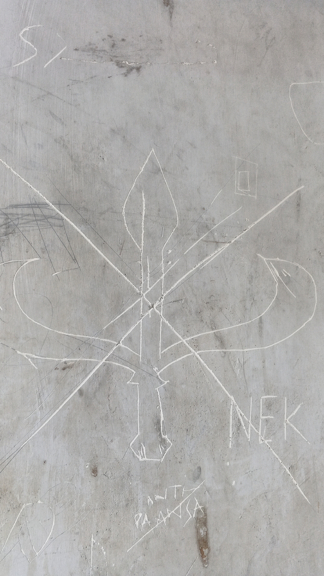 The image shows a close-up, eye-level view of a scratched, grey concrete surface, likely a wall or pavement. White chalk or paint has been used to draw various symbols and text. Prominently displayed in the center is a large, abstract symbol resembling a stylized flame or a cross with curved elements. To the right of this symbol, the word "NEK" is clearly inscribed. Below and slightly to the left of "NEK", there is another inscription that appears to read "PA ANISA", with other faint markings above it. Scattered across the surface are numerous other scuffs, scratches, and less defined drawn elements, some of which appear to be geometric shapes or partial figures. The overall impression is one of graffiti or vandalism on a public surface in Rengel, Indonesia.