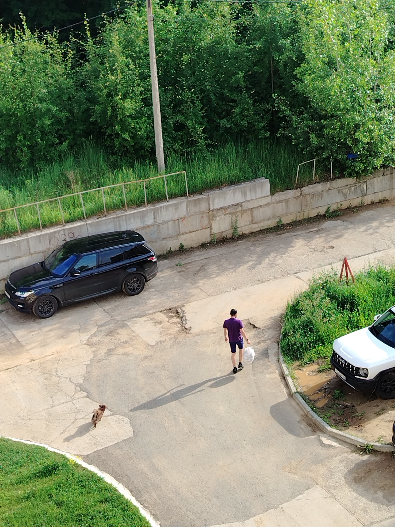 In Noviy, Russia, a black Range Rover is parked on a paved area next to a concrete retaining wall topped with a metal railing. Behind the wall, dense green foliage and trees are visible. A man wearing a purple t-shirt and dark shorts is walking away from the camera, carrying a large white plastic bag. A small, brown dog is on the pavement to the left of the man. To the right of the man, a white SUV is parked, with its front end visible. The ground is a mix of concrete and dirt, with some puddles of water near the white SUV. The scene appears to be outdoors, possibly in a residential or parking area.