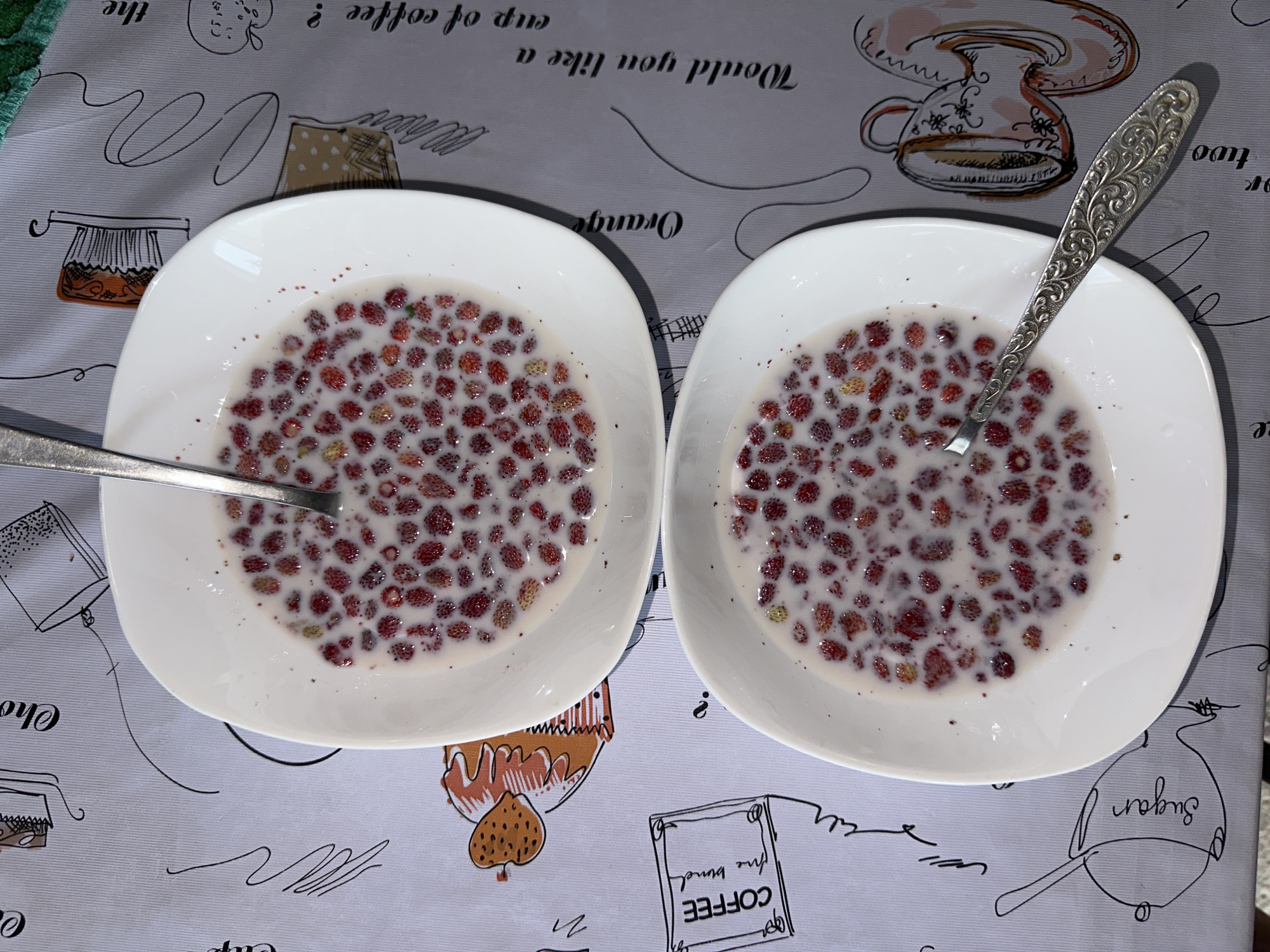 The image displays two white, round bowls, each containing a mixture of wild strawberries and milk, positioned on a patterned tablecloth. The bowls are arranged vertically within the frame. Both bowls are filled with numerous small, red wild strawberries, some exhibiting slight yellowish-green coloration, suspended in a white, opaque liquid. Dark red or brown particulate matter is distributed within the liquid in both bowls.
Two silver-colored spoons are present. The top spoon is partially submerged in the contents of the upper bowl, angled with its handle towards the upper-left. The bottom spoon rests on the tablecloth to the right of the lower bowl, with its handle extending towards the lower-right. Both spoons feature intricate, embossed scrollwork patterns on their handles.
The tablecloth is light-colored, likely gray or white, and decorated with black outline illustrations and minimal color accents (orange, brown). Visible motifs include various coffee cups, a cupcake, and abstract lines. Fragments of English text are incorporated into the design, including "Would you like a cup of coffee ?" on the right side, "COFFEE the bond" within a framed box on the left, "Sugar" near the bottom-left, and partial words such as "Orange" and "Choc."
The scene is illuminated by ambient light. No individuals are depicted. The visual evidence within the image does not provide sufficient data to confirm the location as the city of Альняш, Russia.
