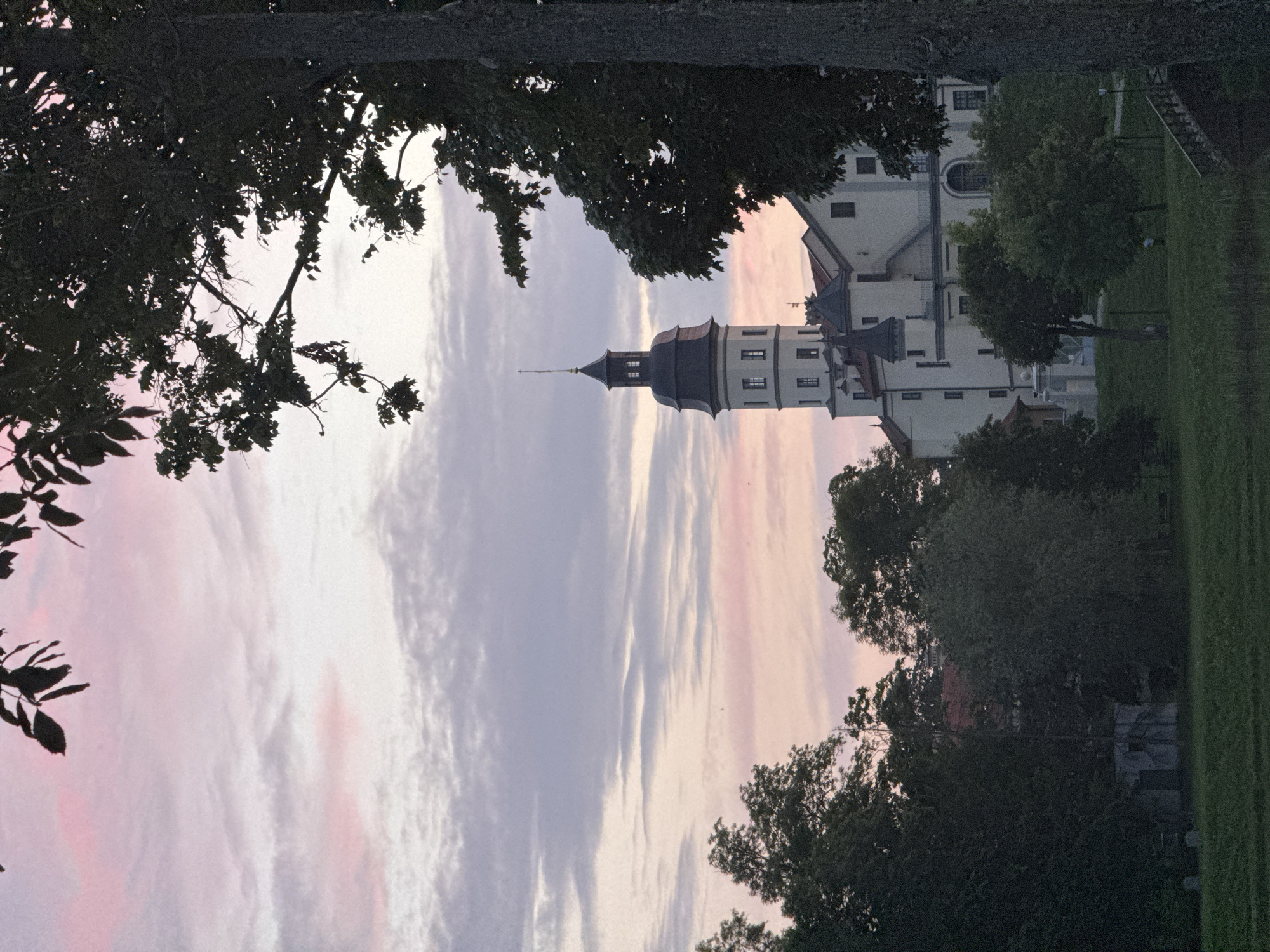 The image depicts a view of Nesvizh Castle in Nesvizh, Belarus, during twilight. A tall, multi-story tower with a dark conical roof dominates the center-right of the frame, connected to a larger, white building with multiple windows and architectural details. The sky above is filled with wispy clouds, tinged with soft pink and lavender hues from the setting sun. Silhouetted against the sky on the left are the branches and leaves of a tree. On the right, a large tree trunk partially obscures the view of the castle. The foreground consists of a grassy lawn, with several other trees and some less distinct structures visible in the middle ground. A set of stairs leads up to the castle complex from the lower right. The overall impression is a serene landscape at dusk, highlighting the grandeur of the historic castle.