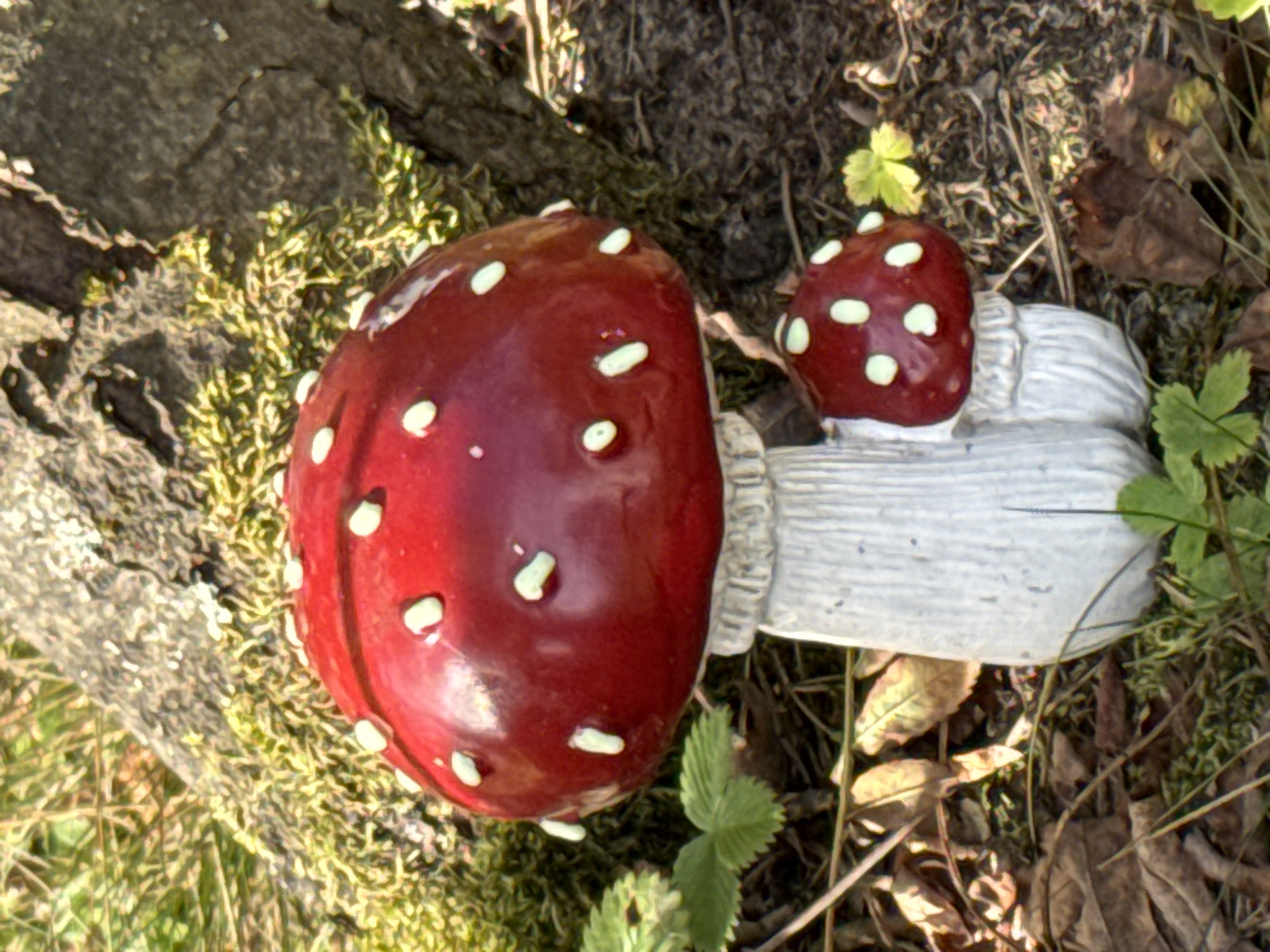 The image shows a close-up, low-angle outdoor shot of two decorative mushrooms in a naturalistic setting. The larger mushroom, in the foreground, has a bright red cap with scattered white spots and a white, textured stem. A smaller, similar mushroom is positioned to the right and slightly behind the larger one. Both mushrooms appear to be made of ceramic or resin. They are situated on the ground, surrounded by green moss, brown fallen leaves, and dry grass. A tree trunk with mossy bark is visible in the background, along with some green foliage. The lighting suggests it is a sunny day. The location is described as the city of Ozerki (Krasnodolinskaya), Russia, though this information is not visually verifiable from the image itself. There are no people or animals present in the scene, and no actions or interactions are depicted.