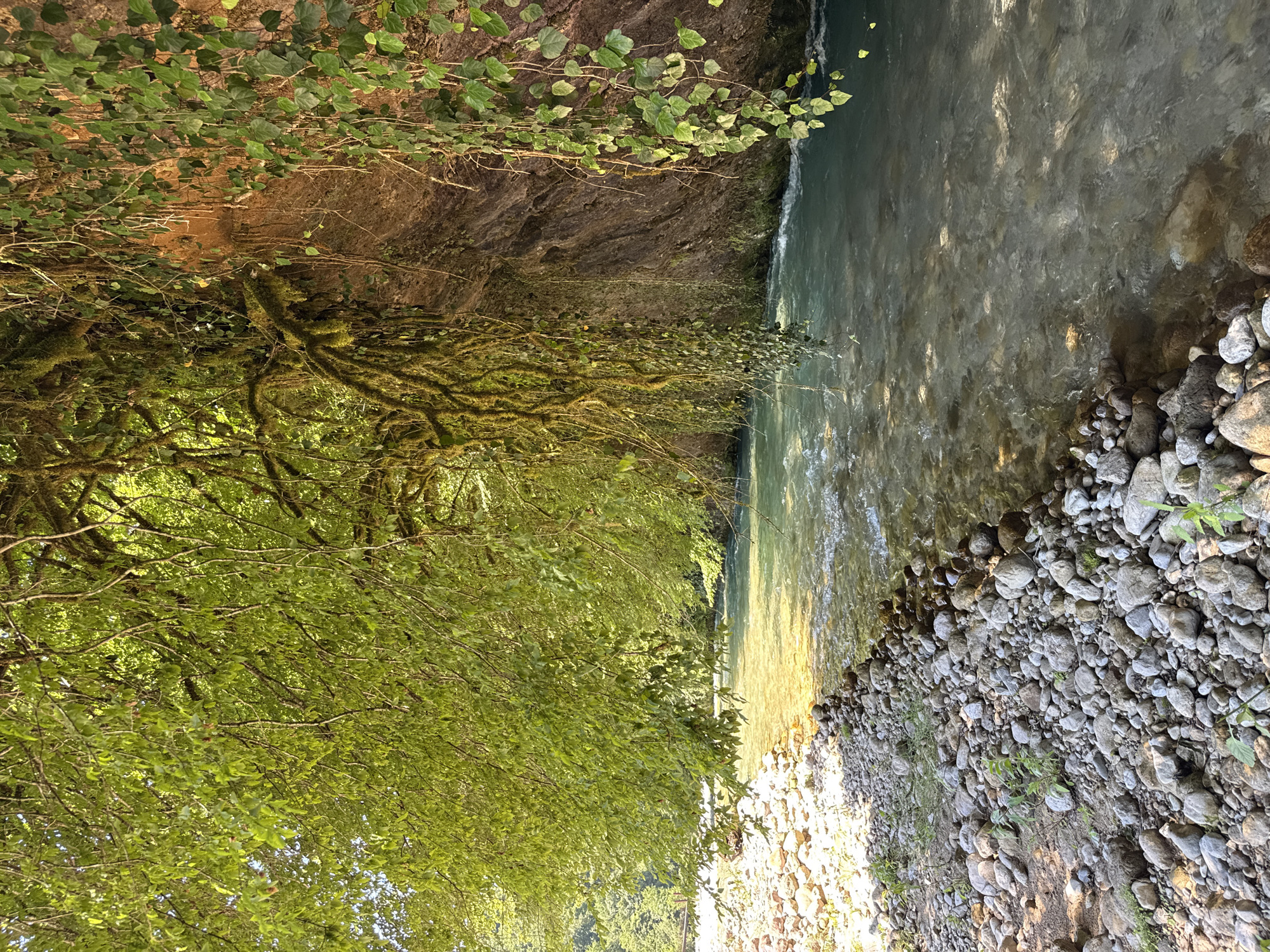 The image depicts a natural scene along the bank of a flowing river in Abgara, Abkhazia. The river's water is clear and turquoise, with visible currents and ripples. The riverbank on the left is covered with numerous smooth, grey and brown stones of varying sizes. Lush green foliage hangs over the river from the left, creating a canopy. To the right, a steep, rocky cliff face rises, adorned with moss and ivy that drapes downwards. Sunlight filters through the leaves, casting dappled patterns on the water and the rocky bank. The environment appears wild and untouched, with no visible signs of human presence or activity.