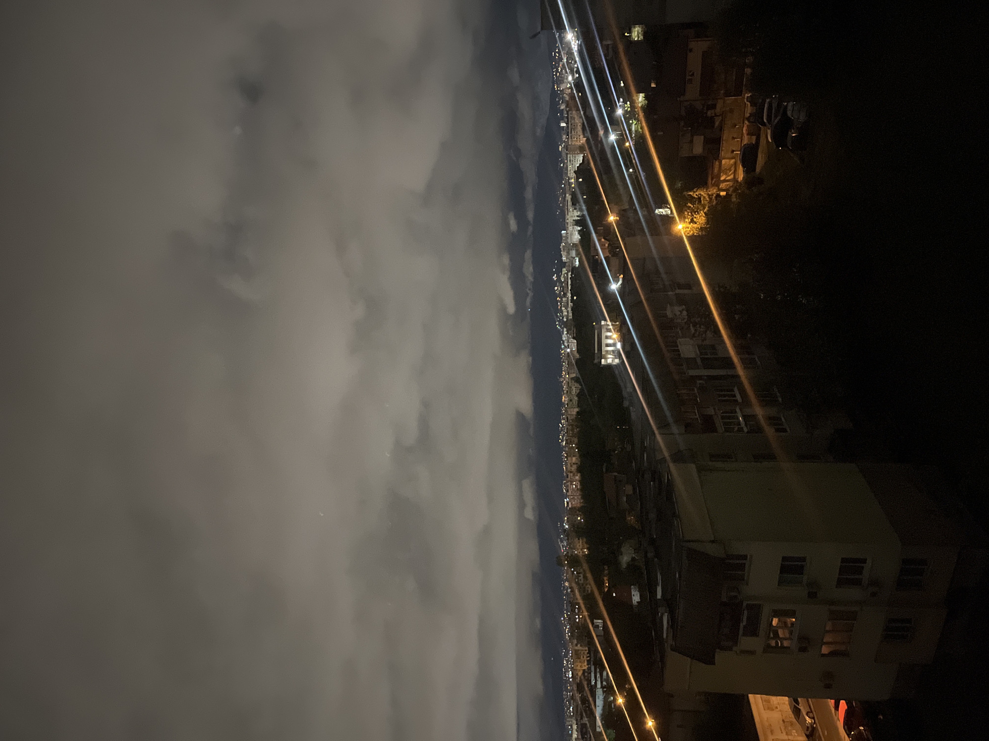The image displays a night-time panoramic view of a city, identified as Sofia, Bulgaria, captured from an elevated vantage point. The scene is largely divided between a cloudy sky and the illuminated urban landscape below.
**Subjects:**
The upper and central portions of the image are dominated by a dense layer of greyish clouds, subtly illuminated from beneath by city lights. Below the clouds, the city stretches into the distance, forming a sprawling tapestry of artificial lights. Buildings, ranging from multi-story structures in the mid-ground and foreground to more indistinct clusters in the far distance, are visible. Several prominent light streaks, likely from streetlights or moving vehicles captured with a slight motion blur, cut across the right side of the frame. In the foreground on the right, specific residential or commercial buildings can be seen with illuminated windows, and some dark masses of vegetation, resembling trees or bushes, are interspersed among them.
**Activity or event taking place:**
The image captures the static, ambient state of a city at night. No specific human activity or event is depicted, only the widespread illumination that signifies a functioning urban environment.
**Notable details:**
The time of day is clearly night. The weather appears overcast with a significant cloud cover, which reflects the city's glow. The artificial lights, both as point sources and streaking lines, are a dominant feature, suggesting the vibrancy of the city. The context indicates the location is Sofia, Bulgaria. The overall mood is one of quiet urban vastness and the distant hum of city life.
**Visible text:**
There is no visible text in the image.