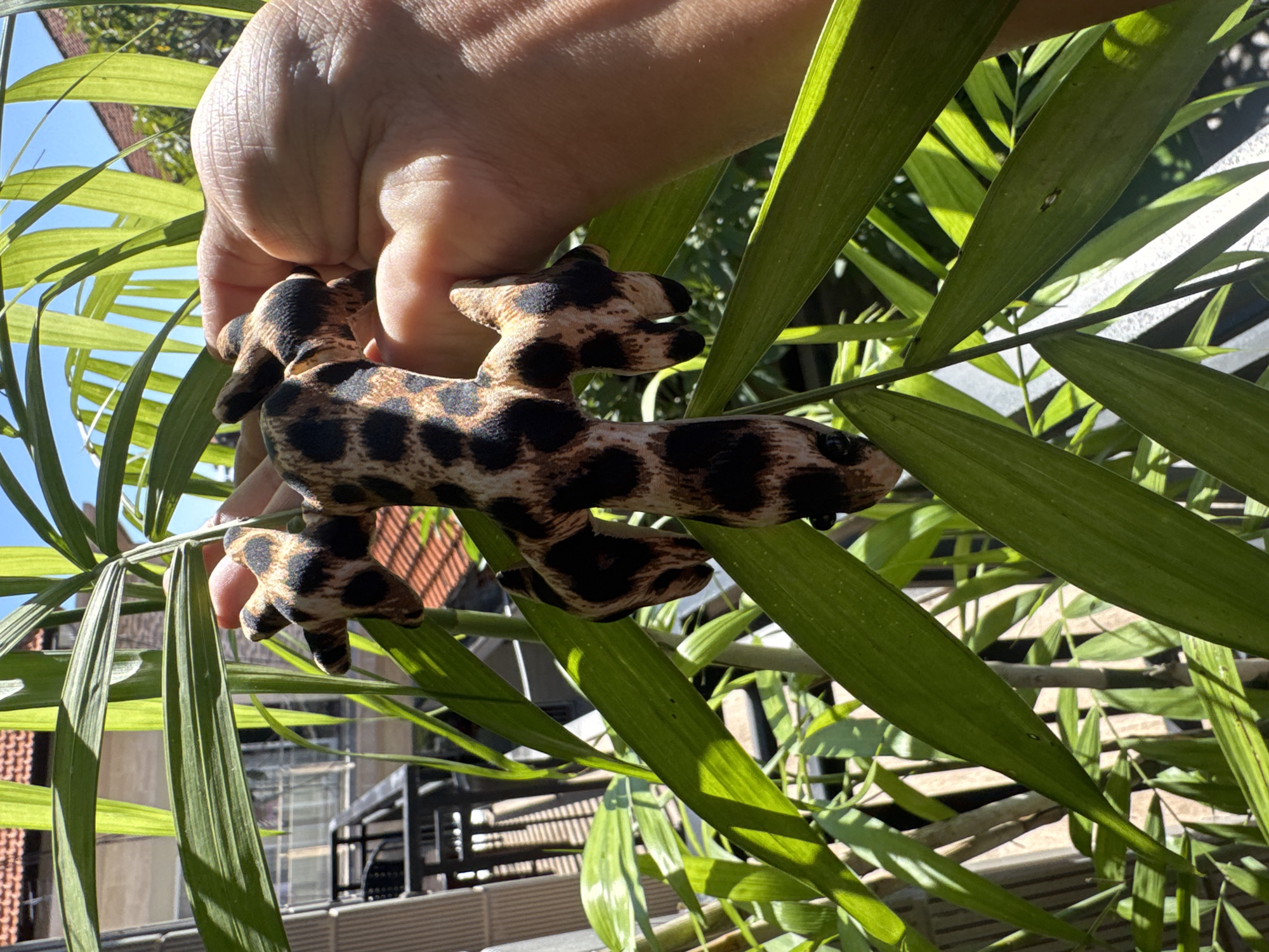 A hand holds a stuffed leopard-print lizard in front of lush green foliage. The backdrop reveals an urban landscape, including rooftops, balconies, and structures with terracotta tiles. The image was taken outdoors under natural light. Though Kuta, Indonesia is mentioned, there is no evidence to support this conclusion from visual cues in the image.
