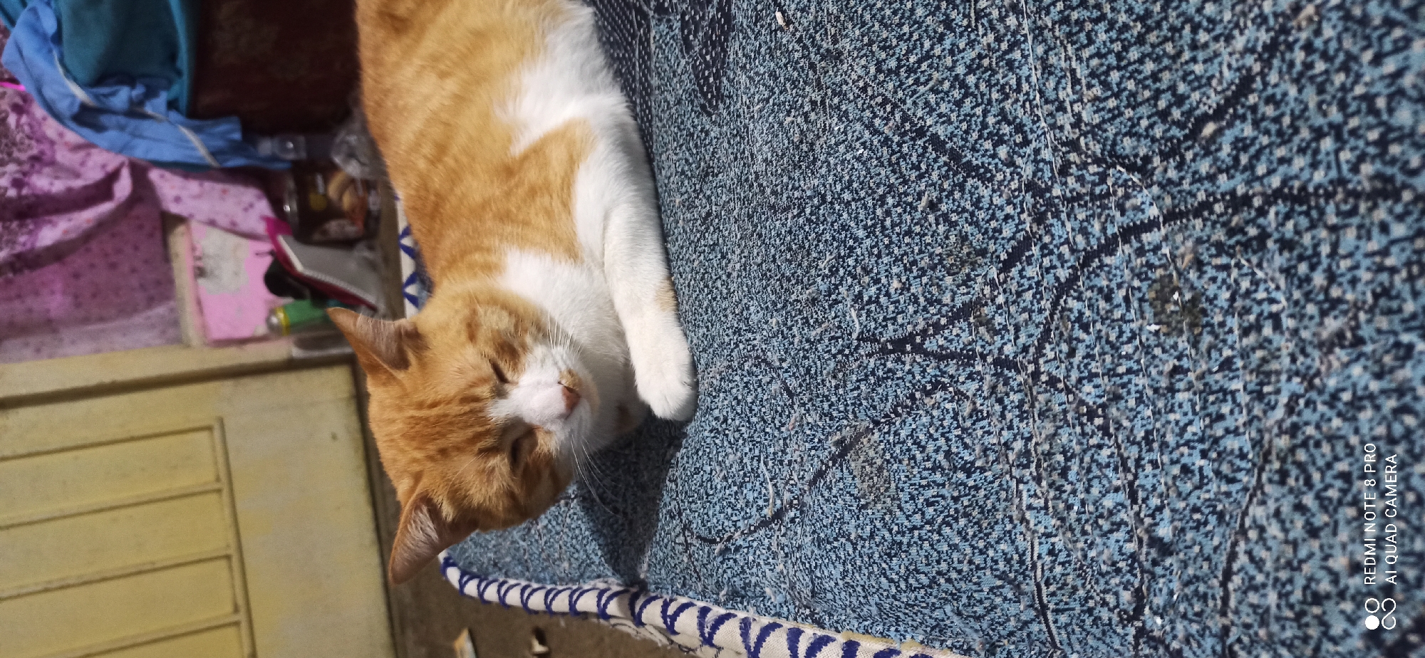 An orange and white cat is sleeping on a blue patterned fabric. The cat is lying on its side with its eyes closed and its paws tucked in. The fabric is textured and appears to be part of a cushion or bedding. In the background, a yellow door is visible, along with some blurry items and fabric hangings. The overall scene appears to be indoors, possibly in a residential setting. The image also includes text at the bottom: "REDMI NOTE 8 PRO AI QUAD CAMERA." The provided location information, Sedati Agung, Indonesia, does not appear to be directly represented in the visual elements of the image.