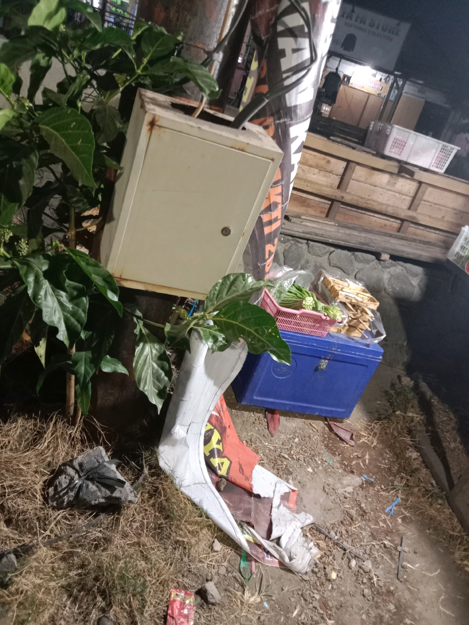 This image depicts an outdoor scene at night in the city of Langensari, Indonesia. In the foreground, a small tree with broad green leaves is situated next to a light-colored safe. To the right of the safe, there is a blue cooler with a pink basket containing green vegetables on top. Behind the cooler, a pile of wooden planks is visible. The ground is covered with dry grass and dirt, with some scattered debris. In the background, a building with a sign that reads "THRIFTING COLLECTION" is faintly illuminated, suggesting a commercial area. The overall impression is of an urban environment at night, with an assortment of objects and vegetation present.