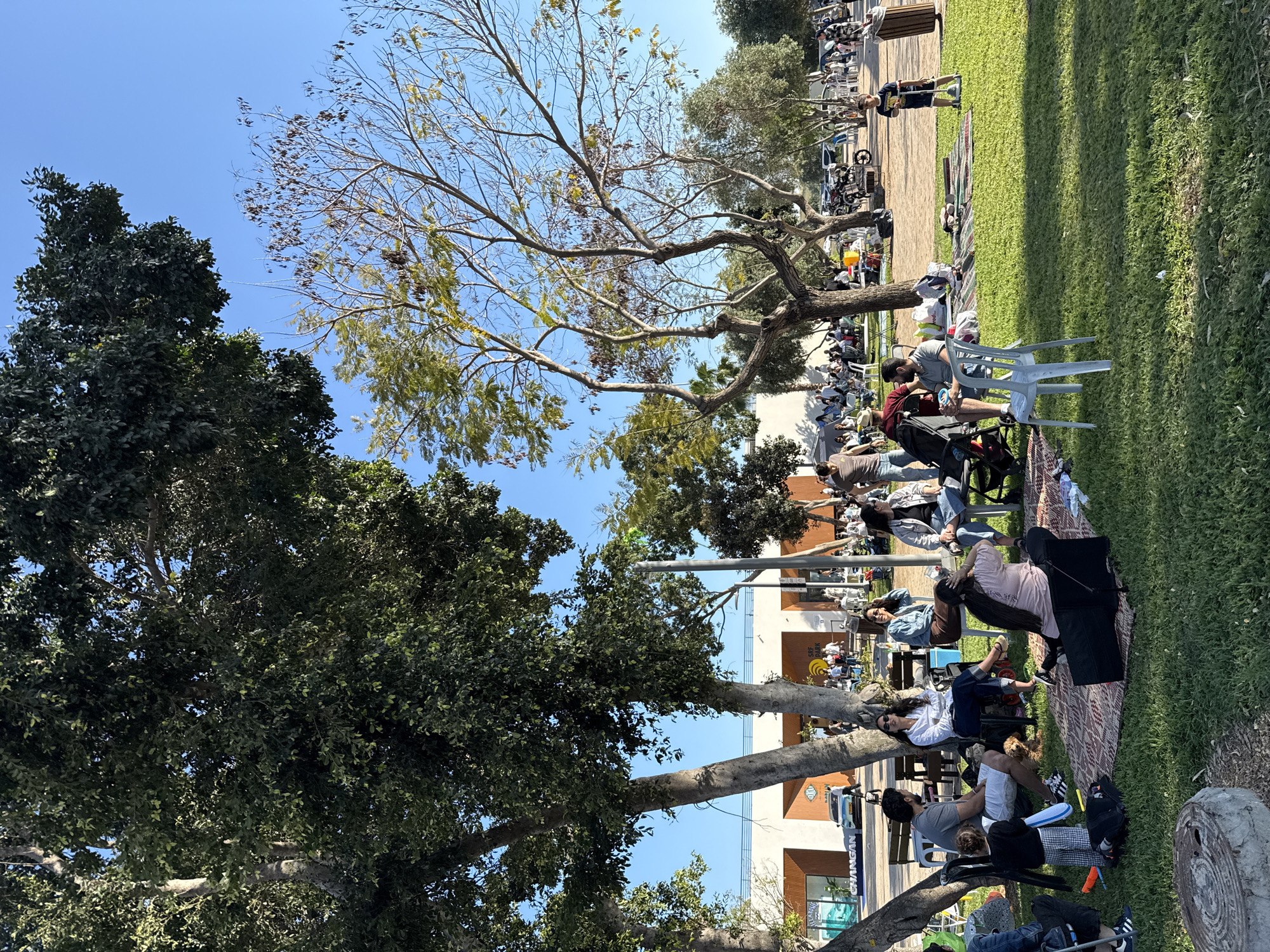 The image depicts a scene in what appears to be a park or grassy area, located in Tel Aviv, Israel. A group of people are sitting on the grass, some in chairs, possibly attending an outdoor event or gathering. Several large trees provide shade. A stage or platform is visible in the background. The environment suggests a public space within the city. The attendees are of varying ages and attires.