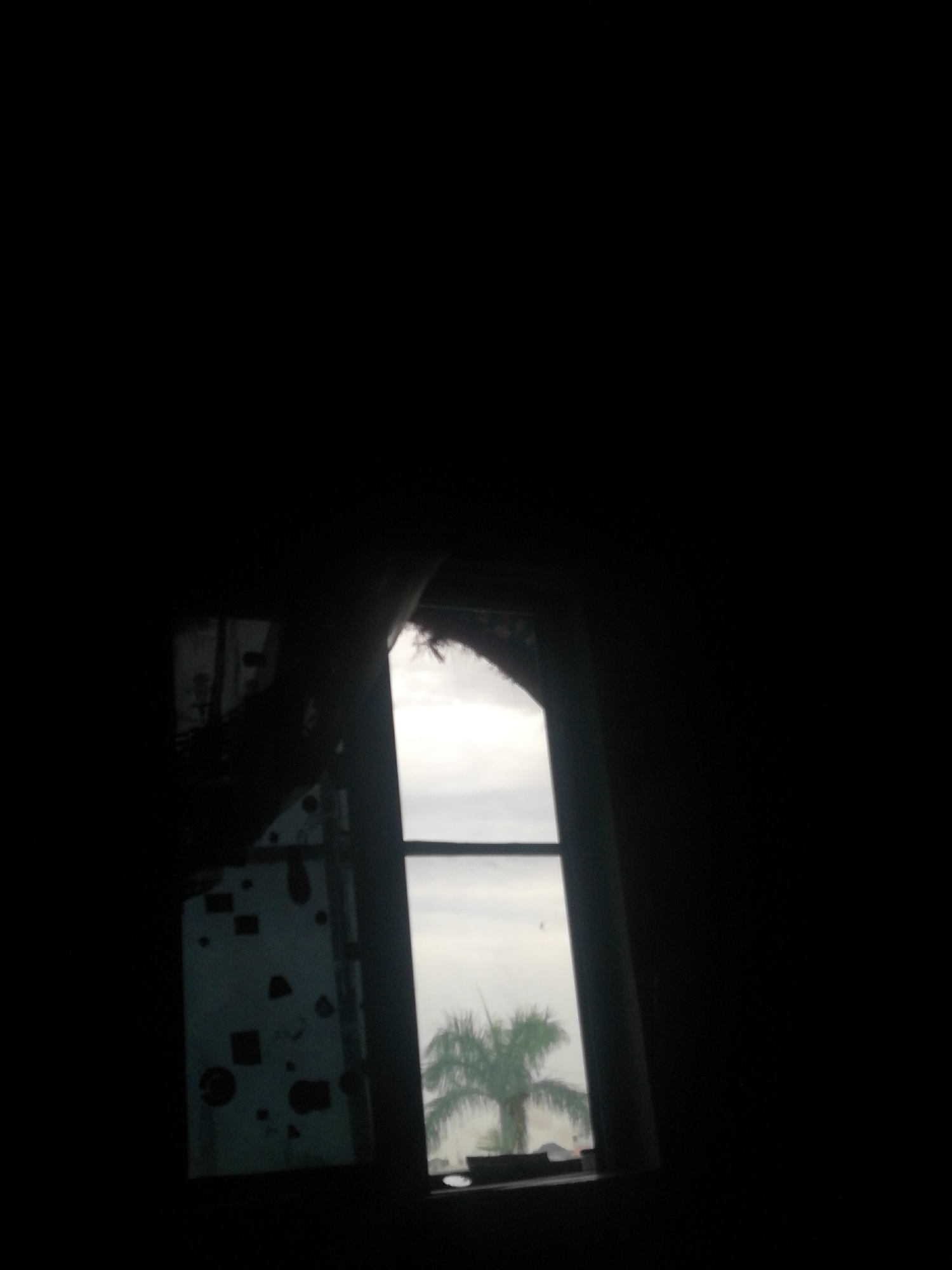 A view of a palm tree through a window. The photo appears to be taken from within a dark interior room, possibly in Lagos, Nigeria, indicated by the vegetation visible outside. The window frame is white, and there's another glass sheet next to the window. The sky is overcast, and the scene's lighting makes details inside the room hard to distinguish. The location is inferred based on the likely presence of palm trees in Lagos, Nigeria.