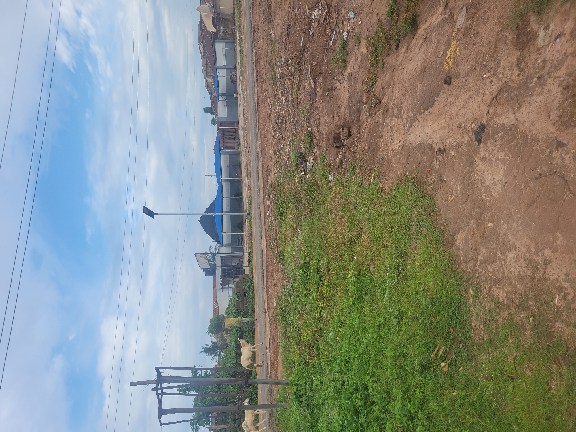 This image depicts a roadside scene in Ogbomosho, Nigeria, under a light blue sky with scattered white clouds and multiple dark overhead utility lines.
In the foreground, the ground is primarily reddish-brown dirt, uneven and littered with small debris, particularly on the right side. On the left, denser patches of green grass are visible.
The midground features a paved, asphalt road running horizontally across the frame. To the left of the road, on a dirt shoulder, two white goats are walking from left to right. Behind them, a person, dressed in light-colored clothing, walks in the same direction, balancing a large bundle of green foliage on their head. A rusted metal frame structure, possibly a former signpost, is partially obscured by dense green vegetation on the far left. On the right side of the road, a tall, slender pole supports a solar-powered street light.
The background consists of various low-rise buildings and structures. Several buildings feature prominent blue canopies or roofs, some arranged in a linear fashion suggesting commercial units or bays. A brown gate is visible between some of these structures. To the left of these, a building with a reddish-brown corrugated metal roof is present. Scattered trees and general vegetation are visible throughout the background.
