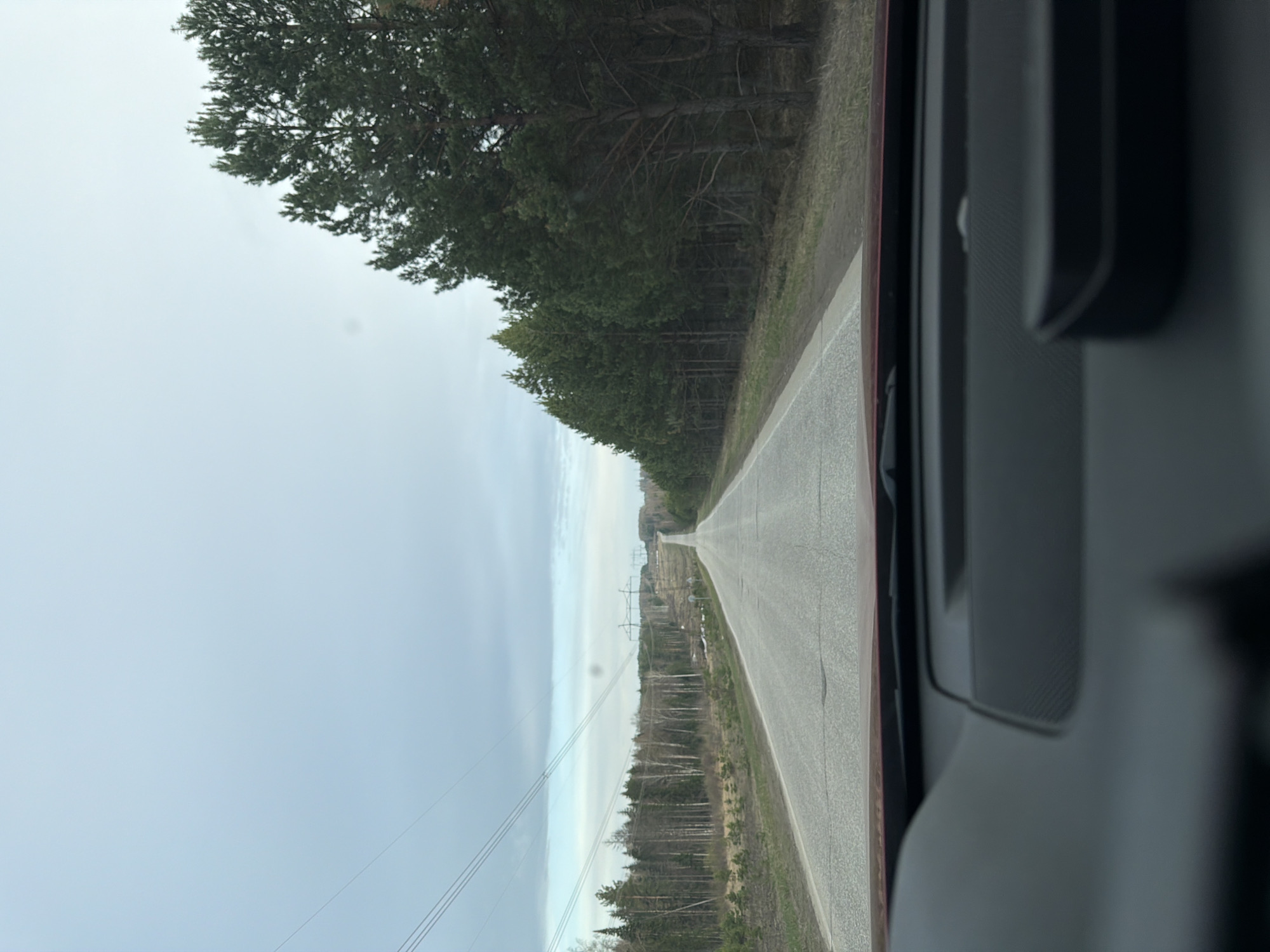 The image, taken from inside a vehicle, captures a view of a straight asphalt road extending into the distance under an overcast sky. The road appears to be a two-lane highway or a main rural route in a generally flat or gently rolling landscape.
On both sides of the road, dense forests primarily composed of coniferous trees line the route. The trees on the left side appear particularly thick and tall, while those on the right are also substantial but may show some sparser areas further down the road. Parallel to the left side of the road, a series of power lines are visible, supported by several tall electricity pylons that recede into the horizon. The sky is a uniform, light grey, indicating an overcast or cloudy day, with no direct sunlight visible.
Parts of the vehicle's interior are visible along the right edge of the frame, appearing as dark grey or black sections of a door panel or dashboard, suggesting the photo was taken through a side or front window.
The scene depicts a peaceful, rural setting, likely in the morning or afternoon given the daylight, though the lack of sun prevents a more precise time. There are no people or other vehicles visible on the road or in the surrounding landscape. No visible text can be discerned in the image. The location context provided is Chaikovsky, Russia, which aligns with the depiction of a forested, rural road.