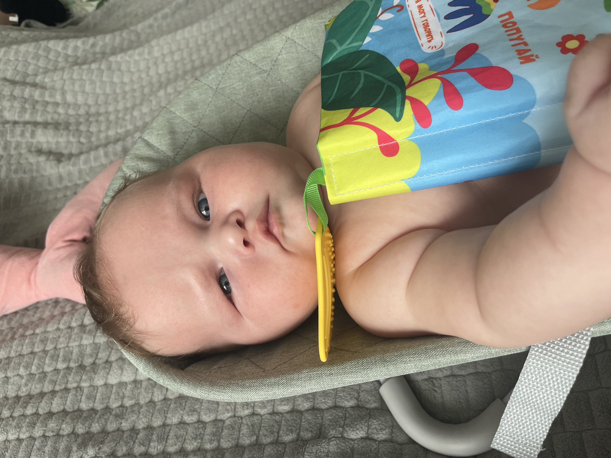 A baby lies in a green bouncer on a grey textured blanket. The baby has blue eyes and light brown hair. A yellow teething toy is attached to the bouncer, and a colorful fabric book with an image of plants and animals is held in front of the baby. The background is out of focus. The image does not provide information about the location of Stavropol, Russia.