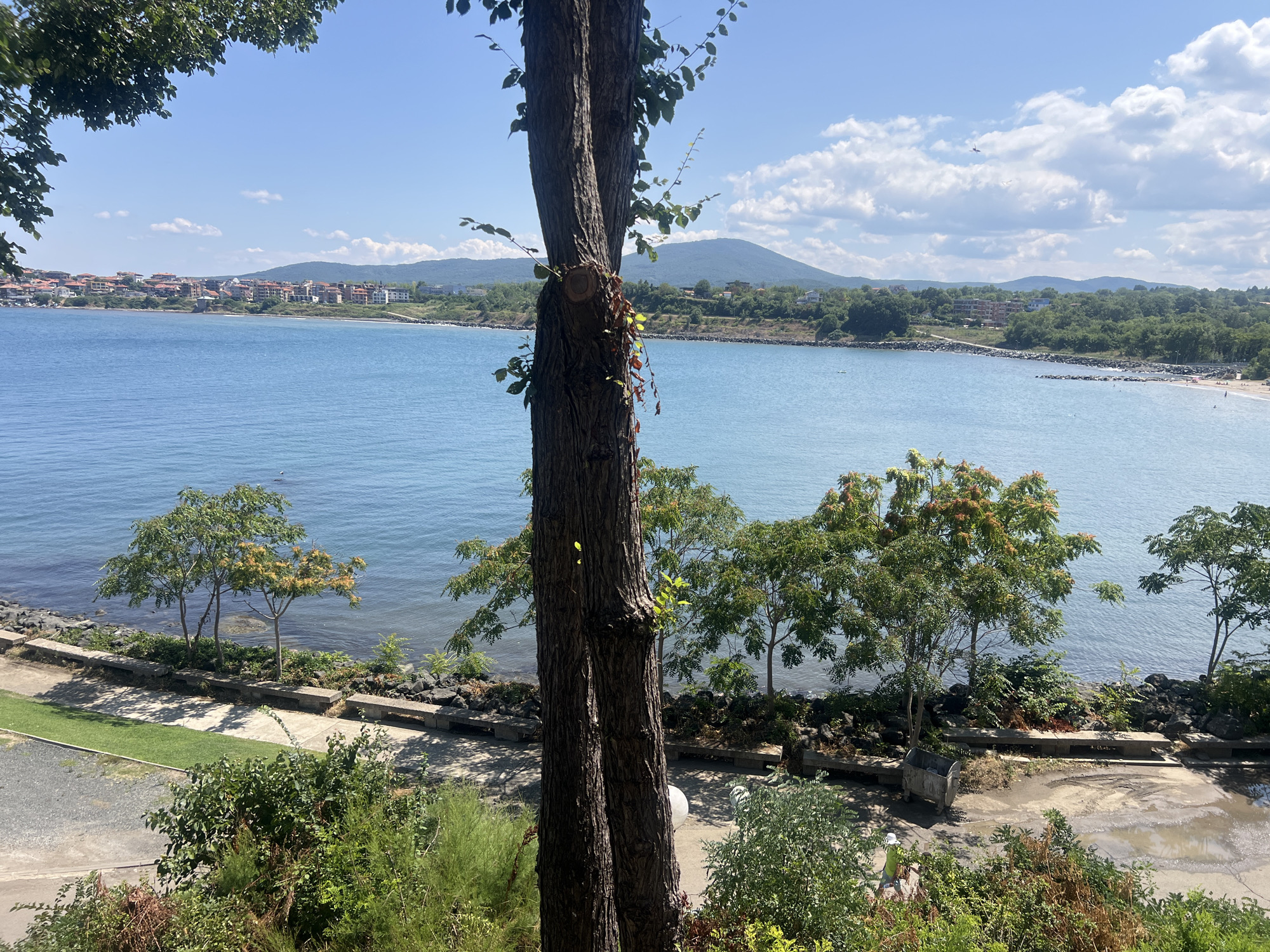 A wide shot shows a bay in Tsarevo, Bulgaria, with a dense cluster of buildings along the coastline in the background, characterized by red-tiled roofs and white walls. The water is a clear blue, with small waves visible near the shore. Several trees are scattered throughout the scene, including a large tree in the foreground that partially obscures the view of the bay. A stone path with benches runs along the waterfront, and a small beach is visible on the right side of the bay. The sky is blue with scattered white clouds, and a distant mountain range forms the backdrop. There are no discernible people or specific actions captured in the scene.