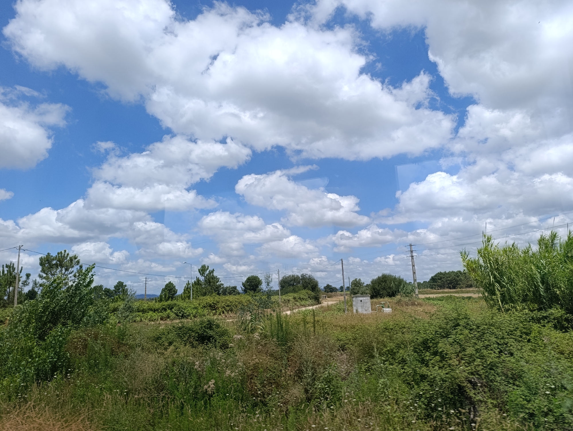 This is a medium-shot, eye-level, horizontal, exterior, daytime photograph capturing a rural landscape under a bright, cloudy sky. The scene is dominated by lush green vegetation, including trees, bushes, and tall grasses, with a dirt road visible in the middle ground. A small, gray, concrete structure with pipes and a white tank is situated on the right side of the road. Electrical poles and wires traverse the background, suggesting proximity to infrastructure. The sky is a vivid blue, dotted with large, fluffy white clouds, indicating fair weather. The overall impression is one of natural beauty and tranquility. The image appears to have been taken from a moving vehicle, possibly a train or car, due to a slight reflection visible on the right side of the frame. No people are visible in the photograph, and there is no visible text. The location context suggests this scene is in Salvaterra de Magos, Portugal.