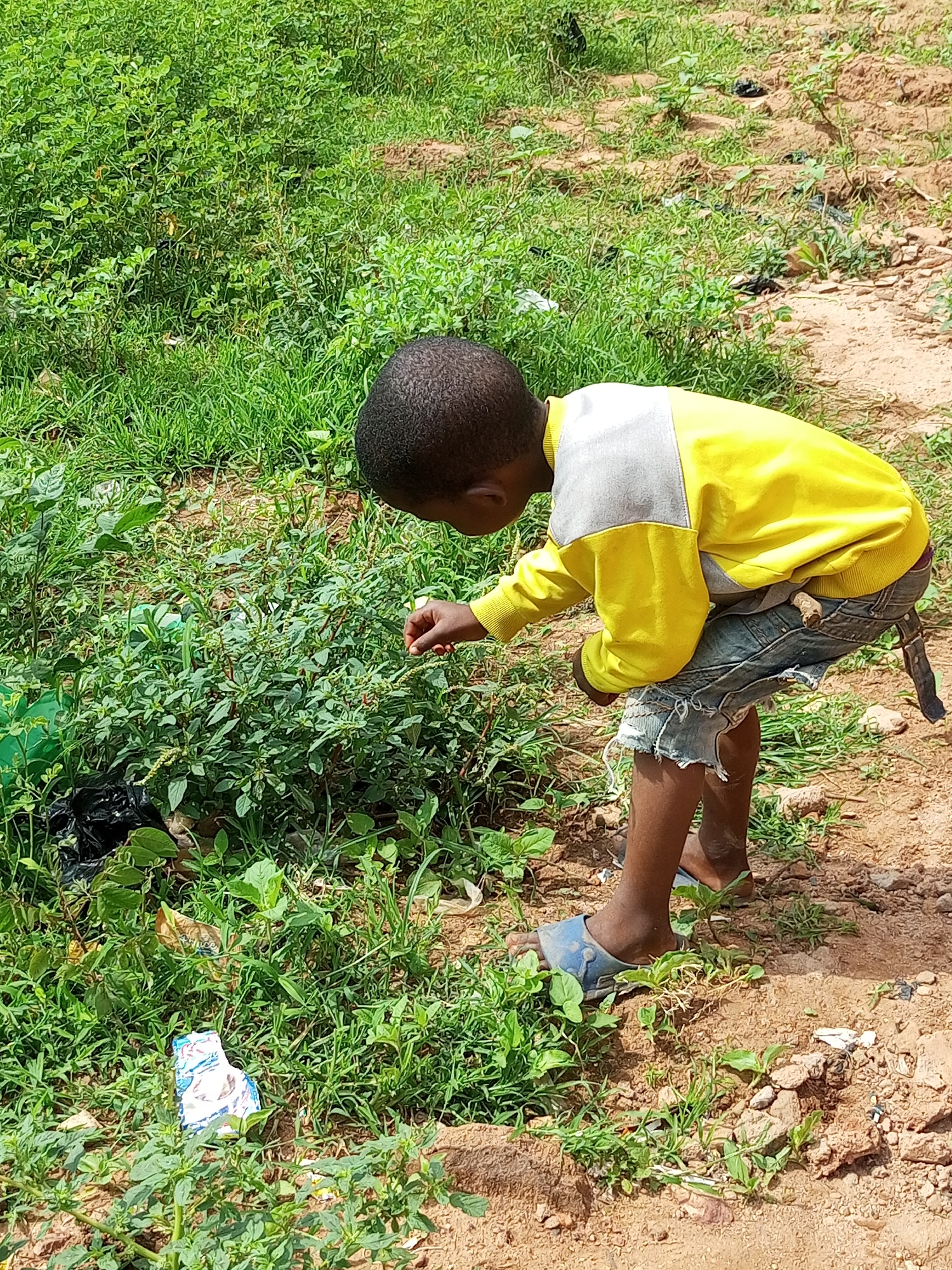 In Tempure, Nigeria, a young boy, possibly around six to eight years old, is seen from the side, bent over a patch of vibrant green foliage. He is wearing a bright yellow sweatshirt with grey accents on the shoulders and sleeves, and distressed denim shorts. His left hand is extended, reaching towards the plants, as if examining or picking something. The ground around him is a mix of reddish-brown soil and sparse green grass. To the left of the boy, some black plastic bags are visible amongst the vegetation. A discarded piece of paper with colorful patterns lies on the ground in the foreground. The overall scene depicts a moment of curiosity and engagement with the natural environment in what appears to be an urban or peri-urban setting.