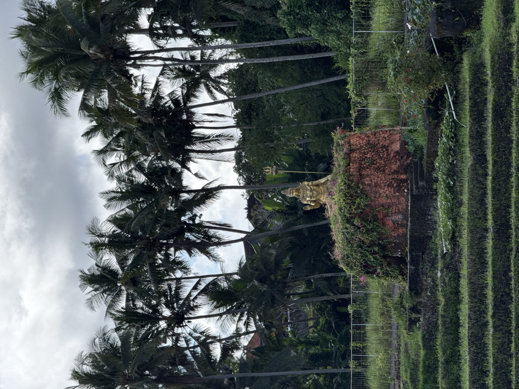 The image shows a vertical view of a scene in Ubud District, Indonesia. A row of palm trees dominates the left side of the image, reaching towards a cloudy sky. To the right, a stone structure is covered with greenery, with a golden statue of a deity visible on top. Beyond the structure, a terraced landscape with lush green vegetation extends into the background. A fence runs along the edge of the terrace, separating it from the stone structure. The overall impression is a blend of natural and cultural elements within a tropical environment.