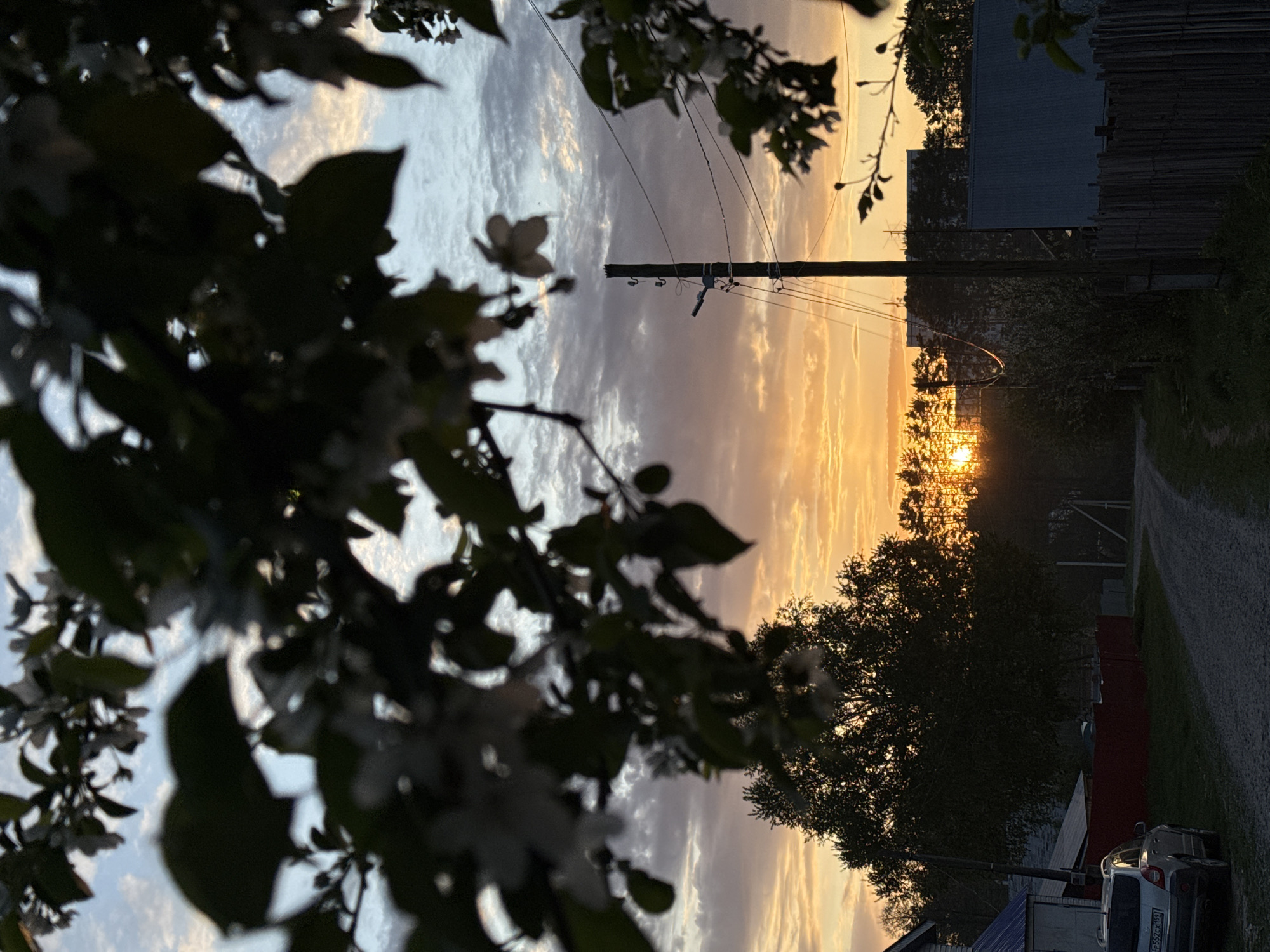 The image captures a sunset in Chaikovsky, Russia. The sun is setting on a rural road lined with houses and trees, obscured by a blooming tree branch in the foreground. A utility pole runs along the road, carrying electrical wires. A car and buildings are visible near the roadside. The sky displays a mix of clouds and orange sunset hues.