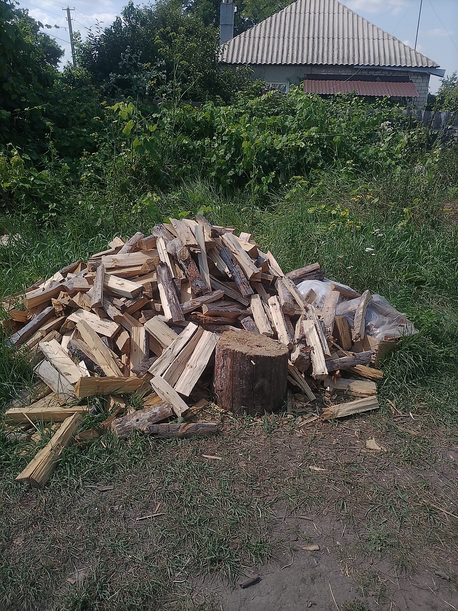 A pile of chopped wood is present in the foreground of the image, with a small tree stump situated on the left side of the woodpile. The woodpile is situated on a patch of grass and dirt. In the background, there is a dense collection of green foliage, a building with a corrugated roof, and a utility pole. The scene appears to be an outdoor setting in a rural area. Based on the provided context, this image is located in Nova Hnylytsia, Ukraine.
