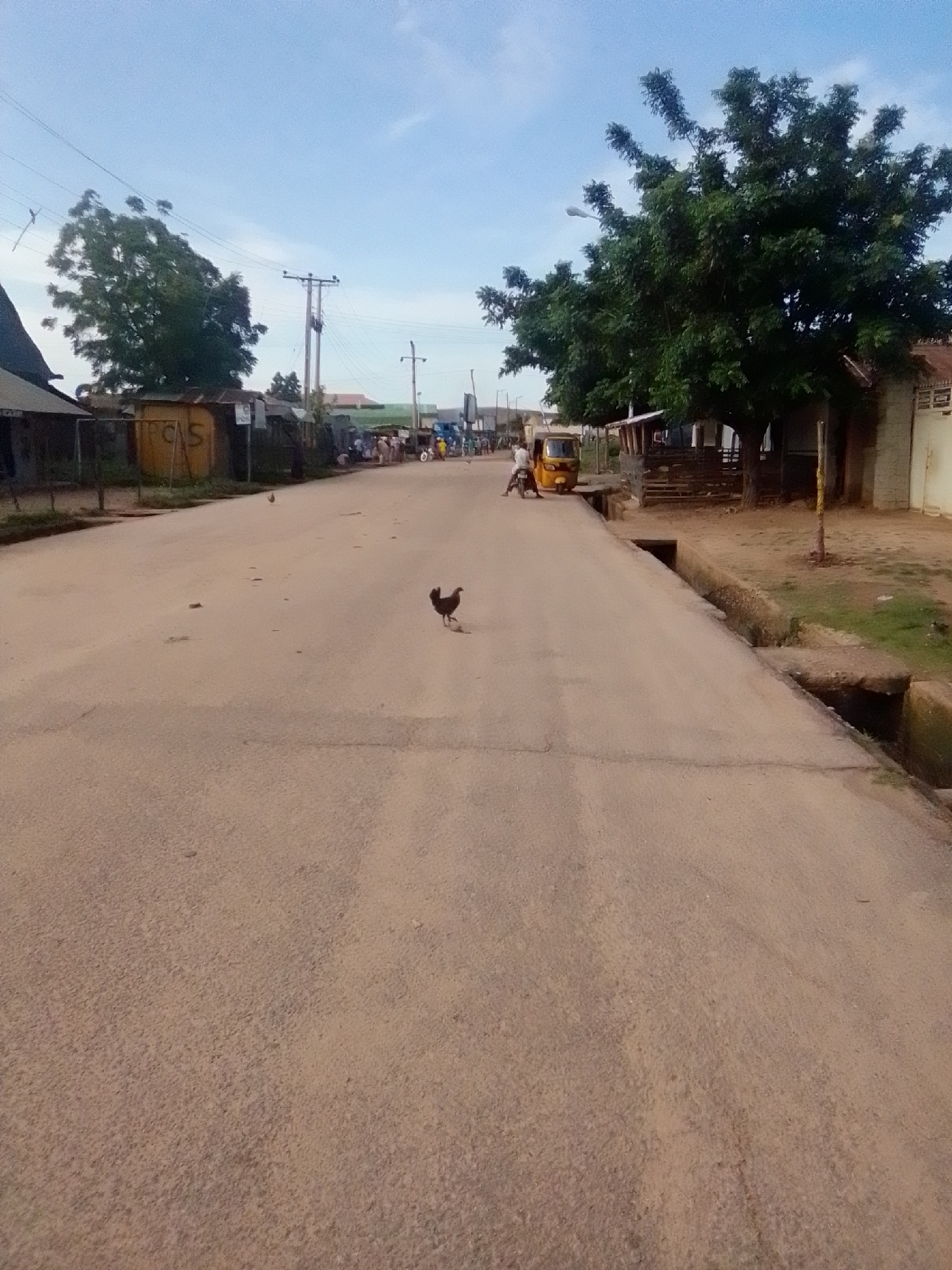 A dirt road stretches into the distance in Gombe, Nigeria, under a pale blue sky. On the left, a small, dark-roofed building is visible, adjacent to a yellow metal structure with the letters "PCS" emblazoned on it. Further down the road, a cluster of people are gathered, some near a yellow auto-rickshaw. A lone chicken walks across the road. On the right side of the road, a large green tree with dense foliage stands beside a building. The road is flanked by a concrete gutter, which appears to be partially filled with debris. The scene conveys a sense of everyday life in a Nigerian city.