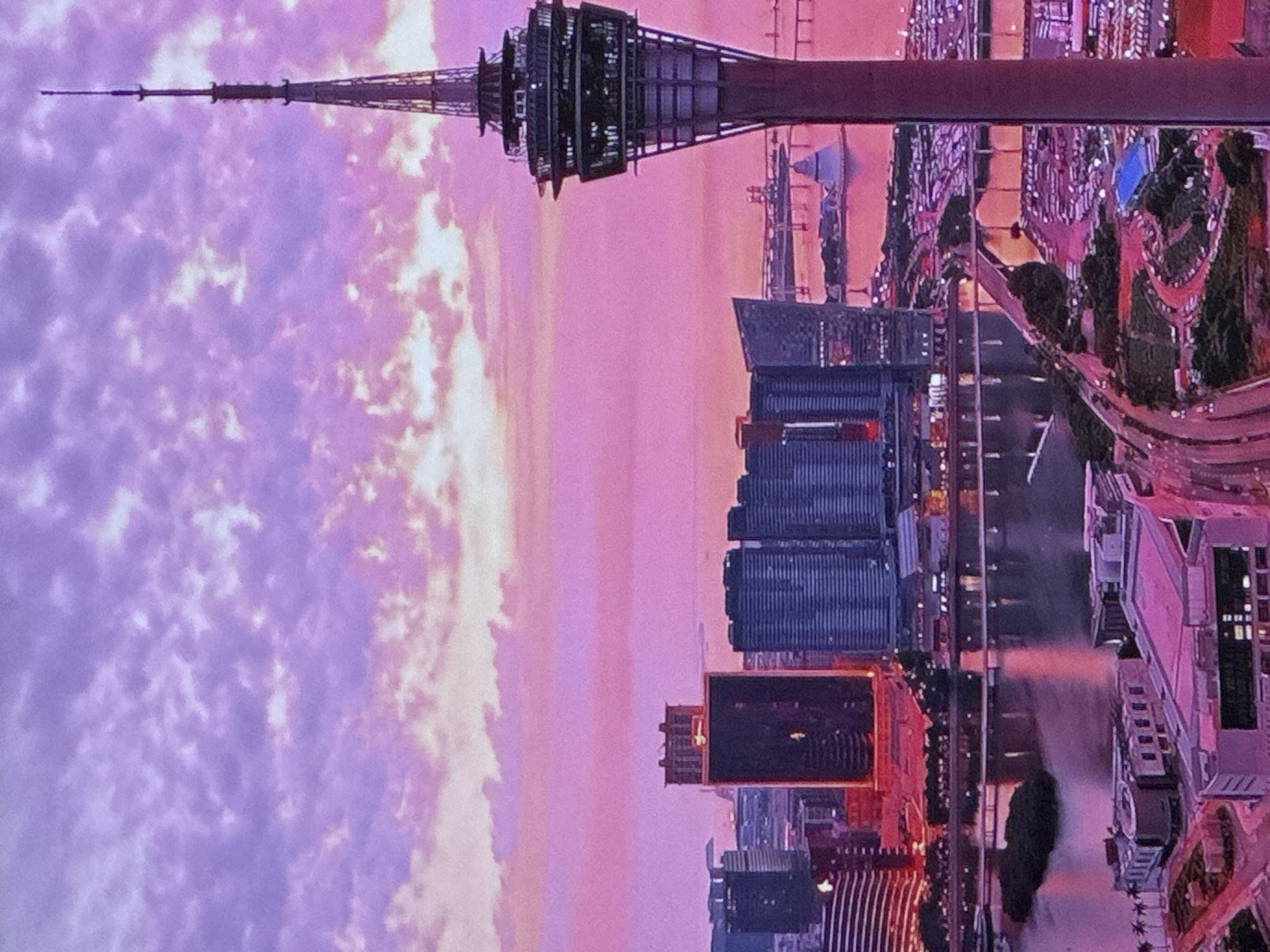 The image shows a panoramic view of a city at dusk, with a prominent tower in the foreground. The sky is filled with vibrant pink and purple clouds, suggesting a sunset or sunrise. The tower, which appears to be a modern observation or telecommunications tower, has multiple levels and a slender spire. In the middle ground, a body of water reflects the colorful sky and is spanned by several bridges. The cityscape features numerous tall buildings, some with modern architectural designs, illuminated by artificial lights. The overall impression is one of a bustling urban environment bathed in the dramatic light of twilight. The location mentioned, Sinyavino, Russia, is not evident from the visual information in the image.