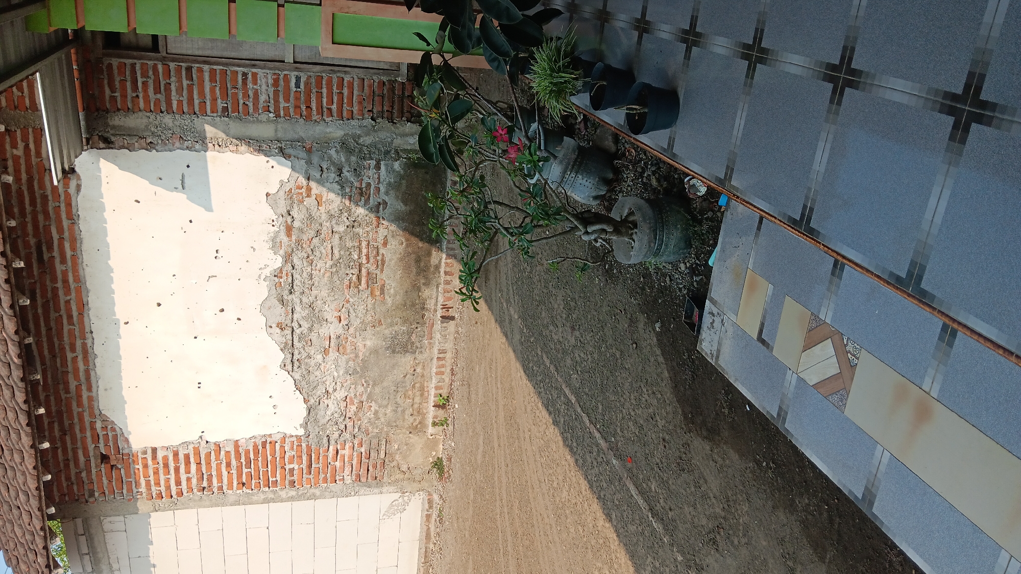 The image depicts an outdoor scene in Sonobekel, Indonesia. In the background, a partially rendered brick wall stands, with sections of exposed brick and plaster. To the left, a white concrete block wall is visible. A tiled roof is present at the top of the structure. In the foreground, a paved area with gray tiles and decorative inserts runs along the base of a building. A dirt yard with tire tracks is to the left of the paved area. Several potted plants are arranged on the paved area, including a bonsai-like tree with red flowers, a smaller leafy plant, and a spiky green plant. The scene is lit by sunlight, casting a long shadow across the dirt yard.