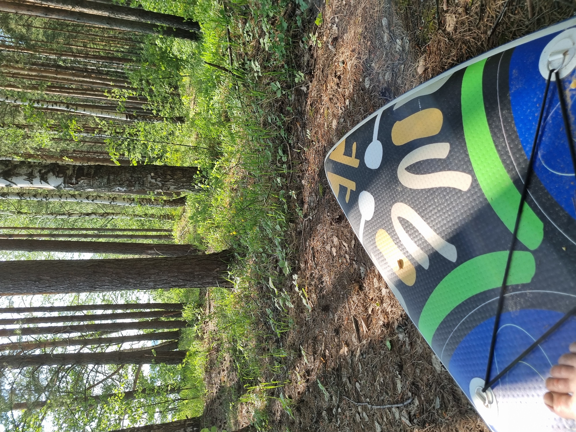 A forest scene in Chaykovsky, Russia, is depicted. The forest is characterized by tall, straight trees, some with white bark, suggesting birch trees are present. Sunlight filters through the trees, illuminating patches of green grass and low-lying vegetation on the forest floor. Debris such as pine needles and twigs covers the ground. A partially visible paddleboard with a colorful design (blue, green, yellow, and white) rests on the ground. A section of a human foot is barely visible on the paddleboard.