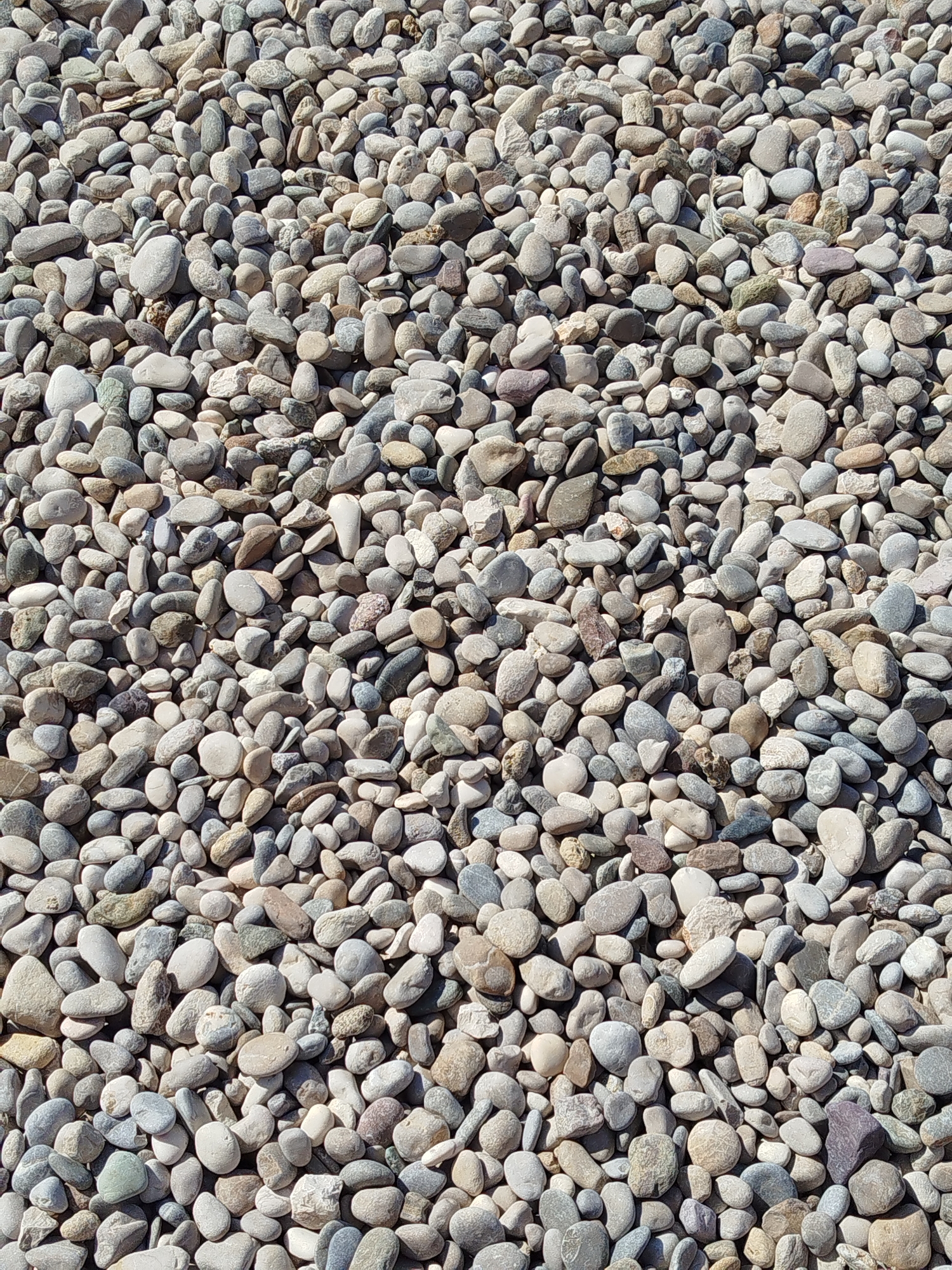 The image is a top-down, medium shot of a vast pile of small, rounded stones. The stones vary in color, exhibiting shades of gray, white, tan, and some with reddish or greenish hues. They are densely packed together, creating a textured surface with no discernible pattern. The lighting suggests it is daytime, with shadows cast by the stones indicating a light source from above and slightly to the right. There are no people, animals, or man-made objects visible in the image. The environment appears to be outdoors, possibly a natural setting or a landscape feature made of pebbles. The image was taken in Unknown, Unknown.