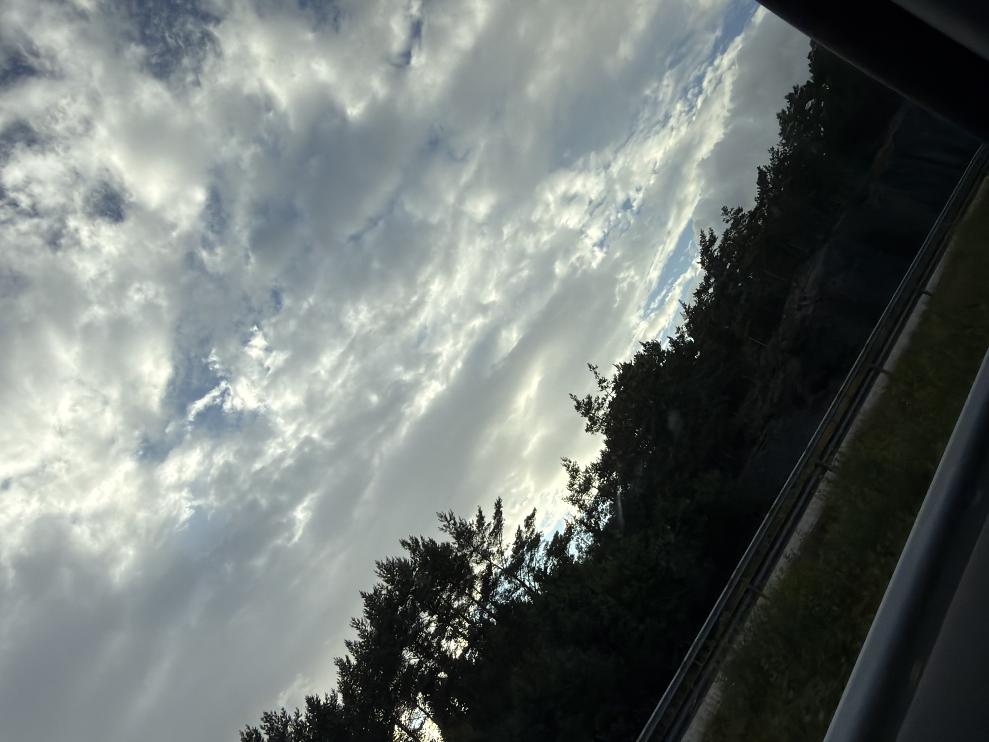 The image depicts a view from a vehicle, likely a car, looking upwards and to the side. The scene is dominated by a dramatic sky filled with a mixture of grey and white clouds, interspersed with patches of blue sky. The clouds are elongated and appear to be moving, creating a sense of dynamic motion. Below the sky, a dense line of dark green trees forms a silhouette against the brighter sky. These trees are characteristic of a forest or wooded area, with their branches reaching upwards and outwards. A metal guardrail is visible in the lower part of the image, running diagonally from left to right, suggesting the viewpoint is from a road or highway. The overall impression is one of a natural landscape viewed from a moving perspective, possibly during an overcast day with some sunlight breaking through. The location is specified as Frillesås, Sweden.