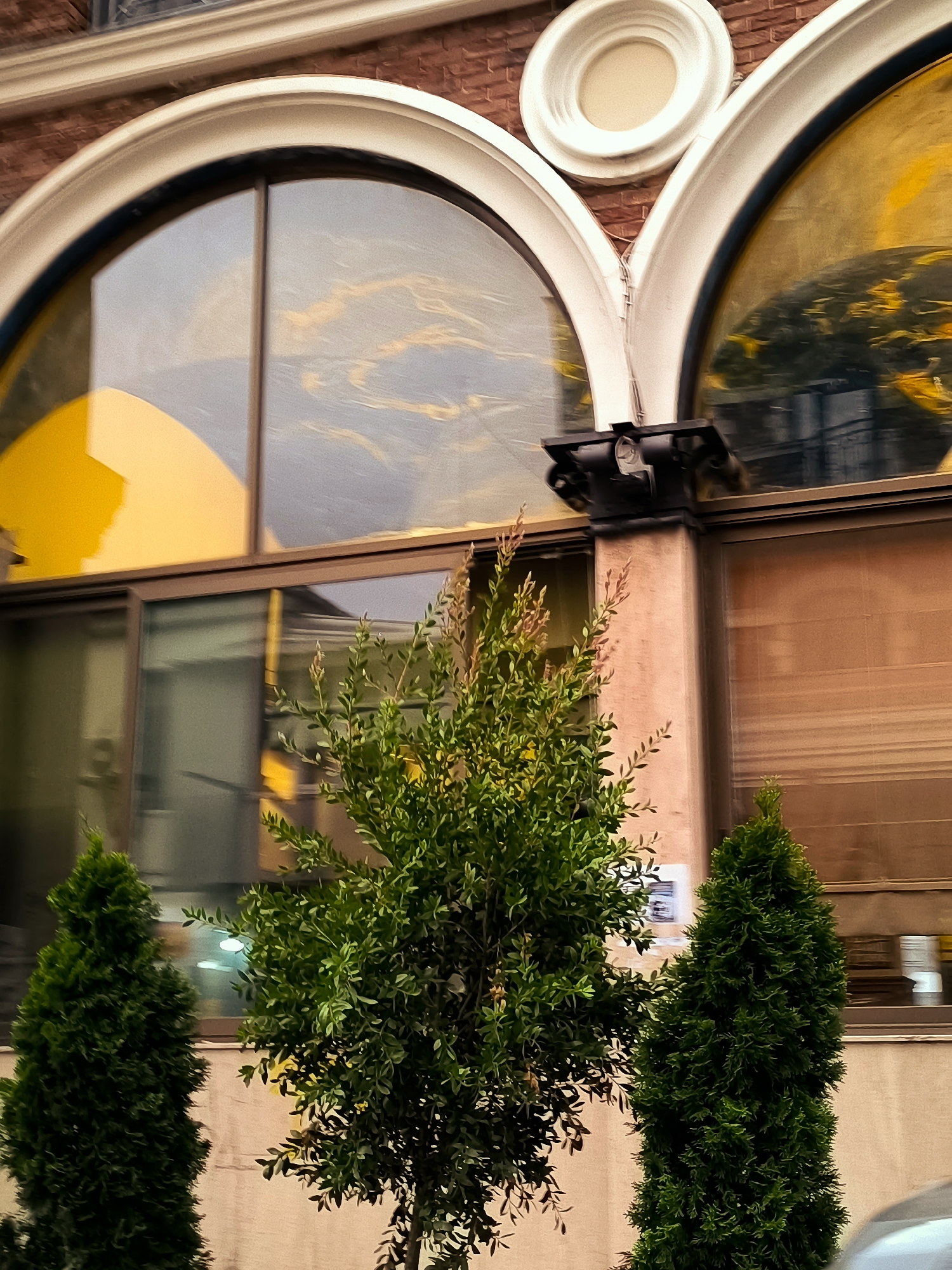 The image shows the facade of a building with arched windows, possibly in Batumi, Georgia, given the context. The building is constructed with brick and has decorative architectural elements. In front of the building, there are three potted evergreen plants. The largest plant is in the center, with a bushier, more irregular shape. To its left is a more cone-shaped evergreen, and to its right is another cone-shaped evergreen. The windows of the building are large and reflect the sky and surrounding environment, displaying abstract patterns of light and color. The overall scene suggests an outdoor urban setting.