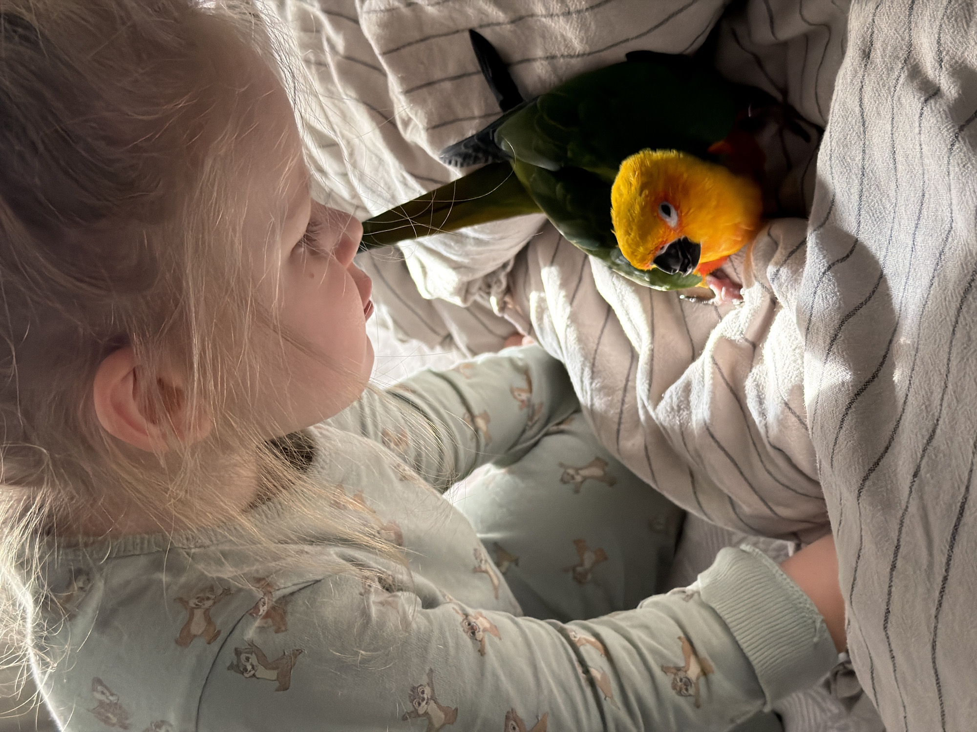 A young child with blonde hair is lying in bed next to a sun conure parrot. The child is wearing pajamas with a squirrel pattern. The bed has a striped duvet cover. There is no indication of this image being in Khimki, Russia.