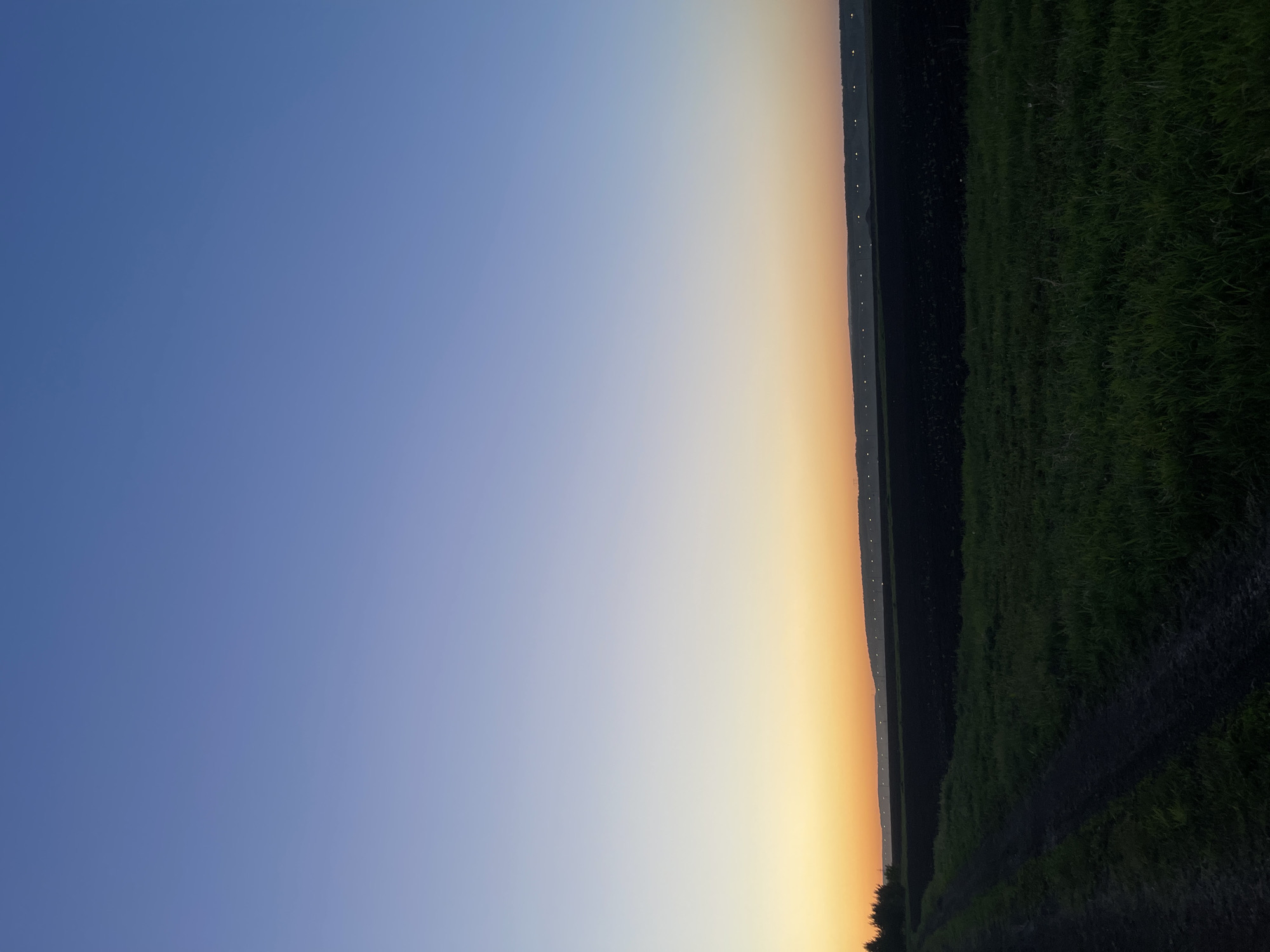 The image captures a rural landscape at dawn or dusk, located in Элита, Russia. The sky dominates the upper two-thirds of the frame, exhibiting a clear gradient from a deep cerulean blue at the zenith, transitioning through a lighter blue, and fading into a warm orange and yellow hue at the horizon. The sky is cloudless.
Along the horizon, a dark, undulating landmass is visible, upon which a linear series of uniformly spaced, bright white artificial lights are evident. Below this distant land, a strip of very dark, possibly tilled soil or fallow fields extends across the midground. The foreground consists of an expanse of dark green grass or low-lying crops.
On the left side of the foreground, a dark, unpaved dirt track or path enters the frame from the lower-left corner and extends diagonally towards the midground. A small cluster of dark, silhouetted trees or bushes is present on the far left, positioned against the orange portion of the sky. No individuals or animals are visible within the scene.