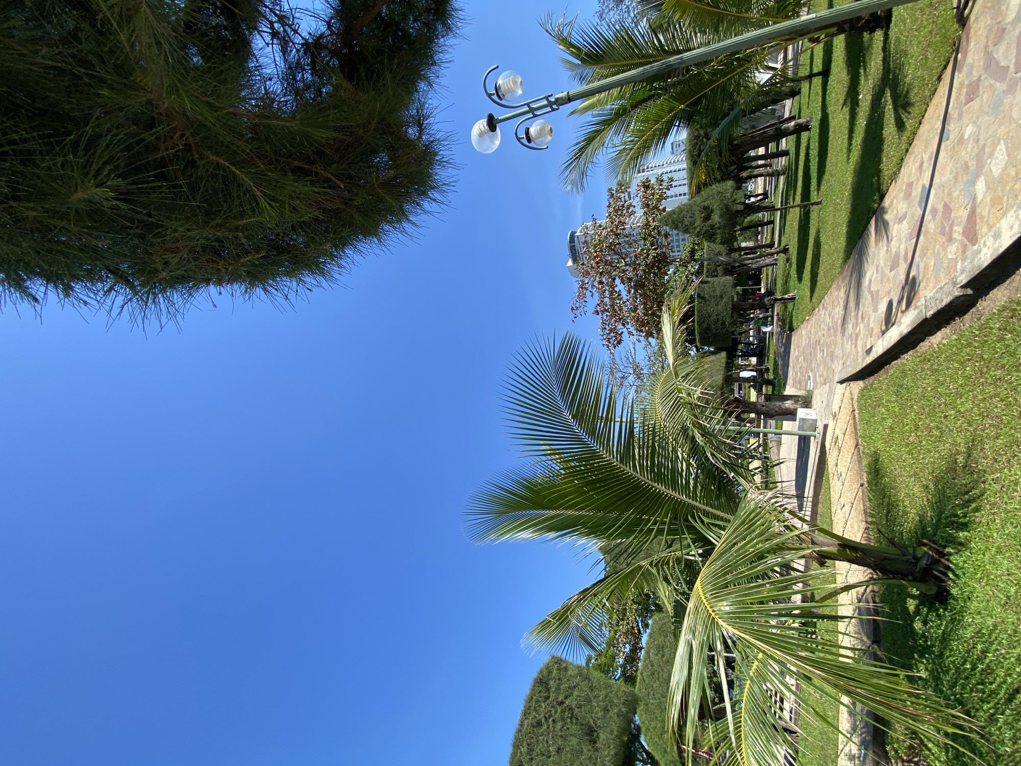 A picturesque sunny day unfolds in Nha Trang, Vietnam, with a clear blue sky dominating the upper portion of the image. The foreground features a meticulously maintained park, characterized by lush green grass and a winding pathway paved with colorful, irregular stone tiles. A young palm tree, its fronds fanning out gracefully, stands prominently to the left, casting a light shadow on the lawn. To the right, a multi-headed lamppost with clear glass globe lights stands tall, its form silhouetted against the vibrant sky.
Further into the park, a variety of trees, some meticulously trimmed into geometric shapes and others with a more natural, sprawling form, line the path. Among them, a tree with reddish-brown leaves adds a splash of contrasting color. In the mid-ground, tall, modern buildings rise above the trees, suggesting the park's proximity to urban development. These buildings appear to be residential or hotel complexes, with their white facades and numerous windows reflecting the bright sunlight. The overall scene conveys a sense of tranquility and urban oasis, a peaceful retreat within the bustling city of Nha Trang.