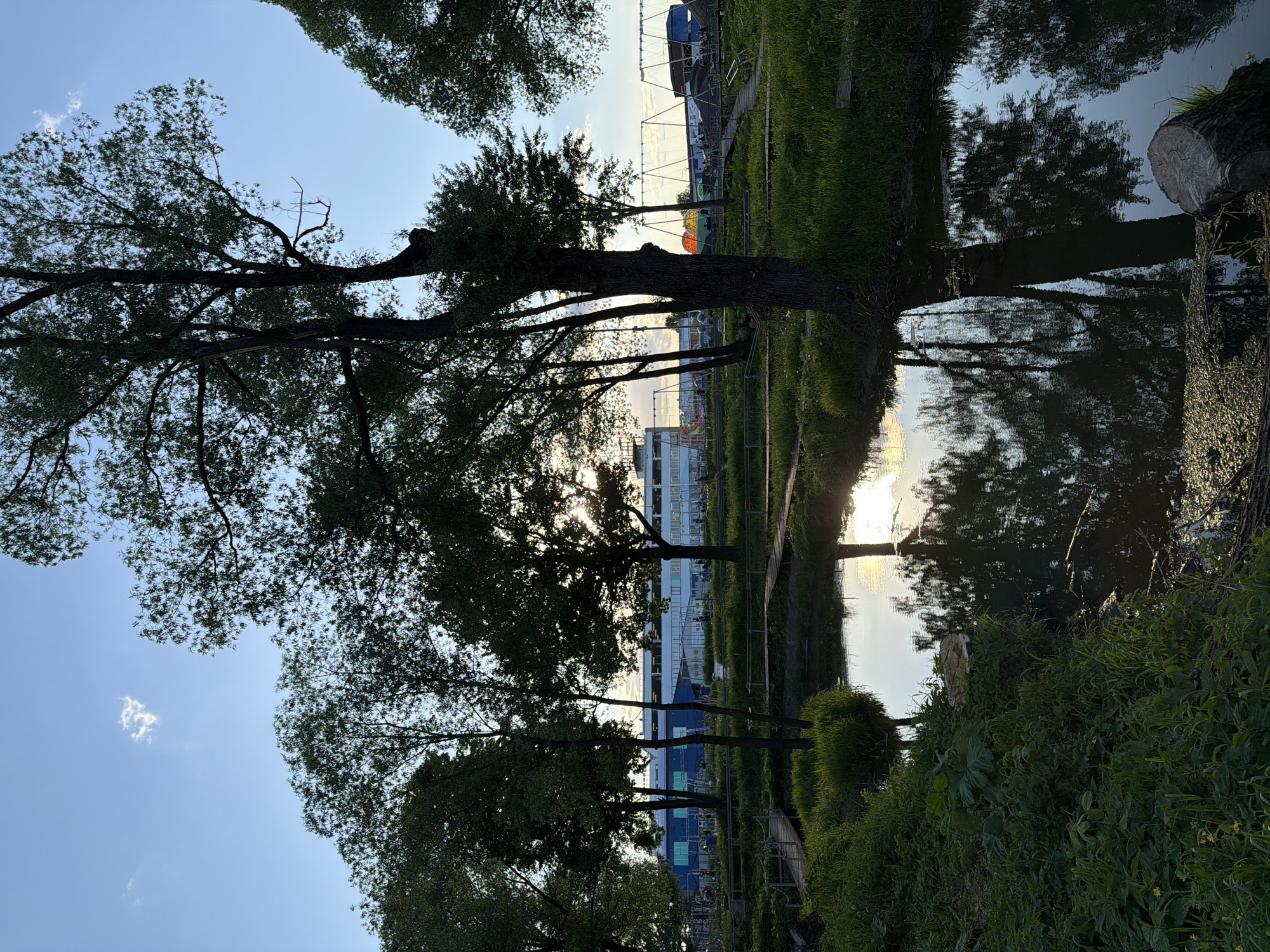 The image depicts a landscape near a body of water in what appears to be Sin'kovo, Russia, based on the urban setting and typical vegetation. The scene is framed by trees, some of which are reflected in the water. Behind the trees are buildings, including what looks like a modern structure with blue and white panels. There is a bridge or boardwalk visible. The lighting suggests either sunrise or sunset, with sunlight reflecting off the water. Lush vegetation lines the water's edge. There is no evidence of any people, interactions or actions taking place.