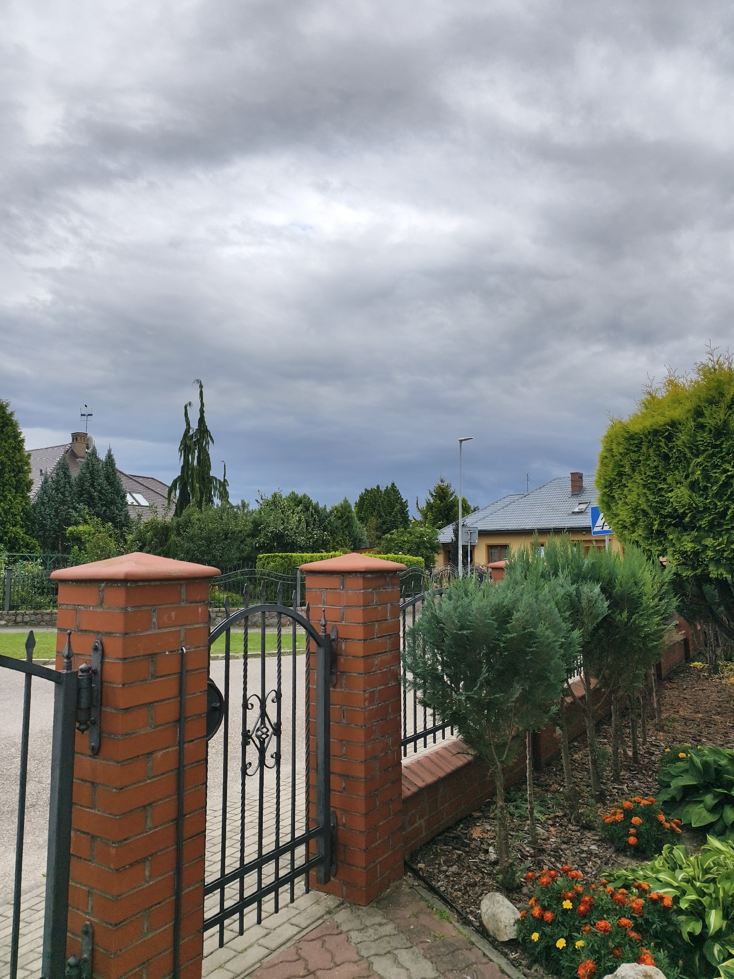 The image depicts a residential area under a cloudy sky. In the foreground, there is a red brick gatepost with a black metal gate. To the right of the gate, there is a row of trimmed evergreen shrubs and orange and yellow flowers. Behind the gate, a paved walkway leads to a street. In the background, there are houses with tiled roofs, surrounded by trees and greenery. A tall, slender tree with a distinct shape stands out among the other vegetation. The scene suggests a quiet, suburban environment in Tczew, Poland.