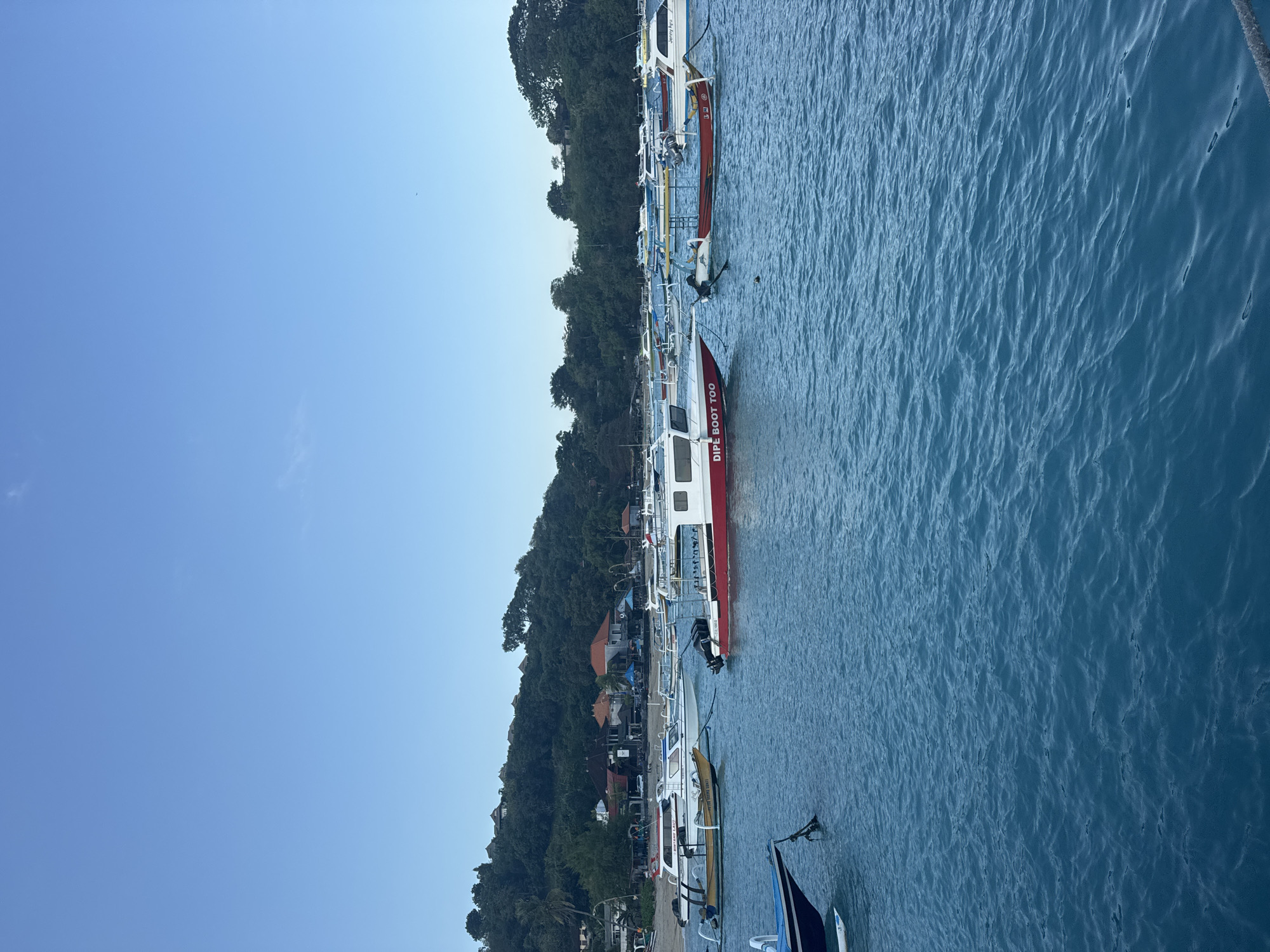 The image shows a body of clear blue water with numerous boats docked. The boats are of various sizes and designs, with some appearing to be speedboats and others smaller fishing vessels. The water is calm with small ripples. In the background, a sandy beach is visible, lined with palm trees and lush green foliage. Several buildings, including houses with red-tiled roofs, are nestled among the trees on a gentle slope. The sky is clear and a pale blue, suggesting it is either early morning or late afternoon. The overall scene depicts a tranquil coastal environment in Manggis, Indonesia, with a focus on the boats and the serene seascape. There are no people visible in the image.