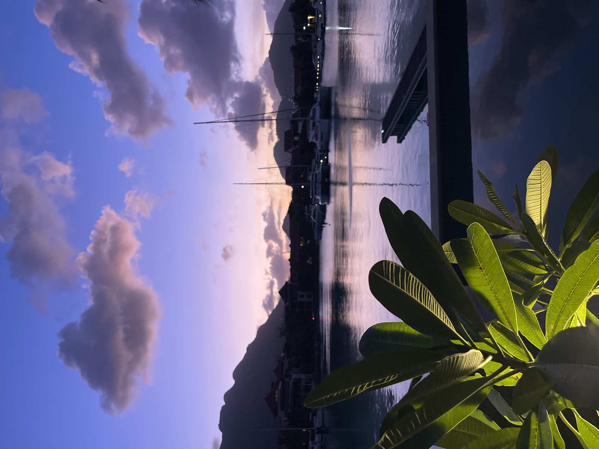 The image depicts a serene harbor scene at dusk in Providence, Seychelles. The sky is a gradient of deep blue transitioning to soft purple and pink hues, illuminated by the fading sunlight. Fluffy clouds are scattered across the sky, tinged with the colors of sunset.
In the foreground, lush green leaves of a tropical plant are illuminated by artificial light, creating a striking contrast with the darkening environment. Their veins are clearly visible, adding texture and detail.
The middle ground features a calm body of water, likely a marina, reflecting the colors of the sky and surrounding objects. Several sailboats and catamarans are docked in the harbor, their masts reaching towards the sky. The reflections of the boats and the faint lights from buildings on the shore are visible on the water's surface.
In the background, silhouetted mountains rise majestically, their outlines softened by the twilight. Buildings with distinctive red-tiled roofs are visible along the shoreline, suggesting a residential or resort area. A dark, narrow walkway or pier extends into the water from the lower right corner of the frame, adding a linear element to the scene. The overall atmosphere is one of tranquility and natural beauty.