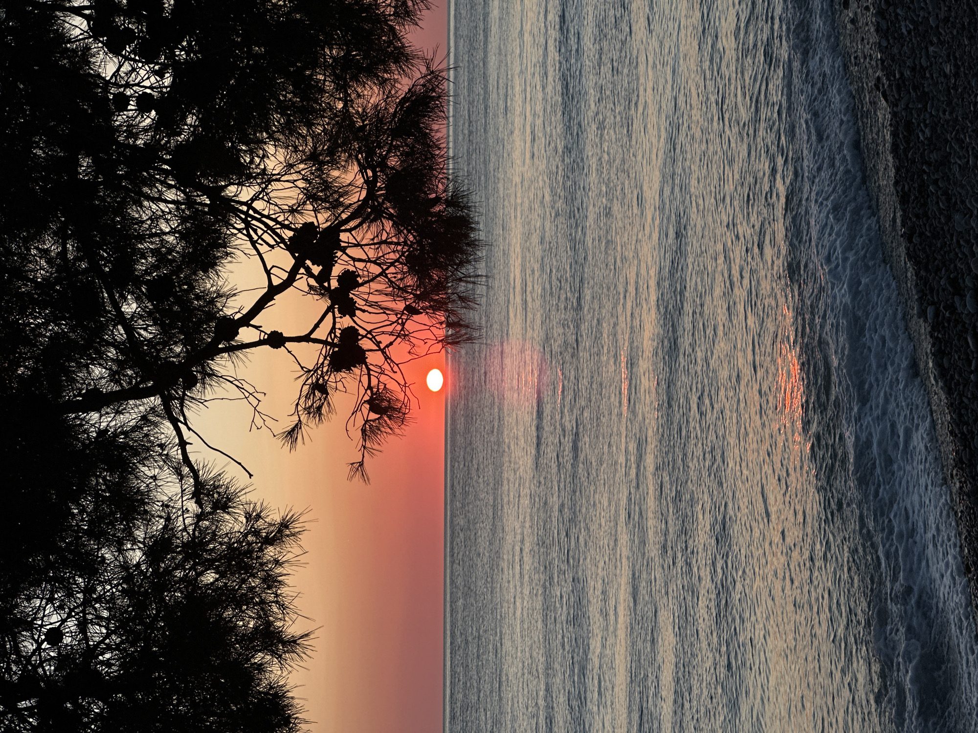 The image captures a serene scene in Šušanj, Montenegro. A silhouette of a pine tree occupies the left portion of the frame, its branches and cones contrasting with the orange and pink sky. The sun is positioned on the horizon, emitting a warm, fiery glow. To the right, the calm surface of the sea reflects the sunlight, creating shimmering patterns. The coastline is visible on the far right, where the water meets the shore. The image conveys a sense of tranquility and natural beauty.